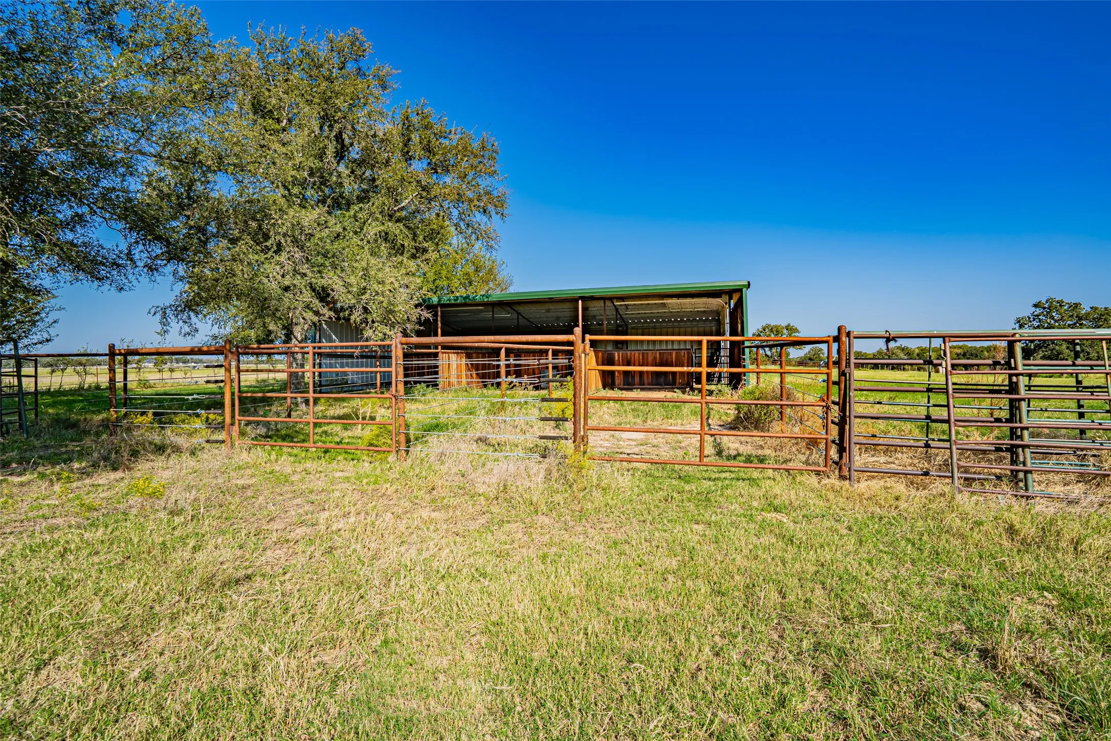 View 3 stall barn with turnouts.