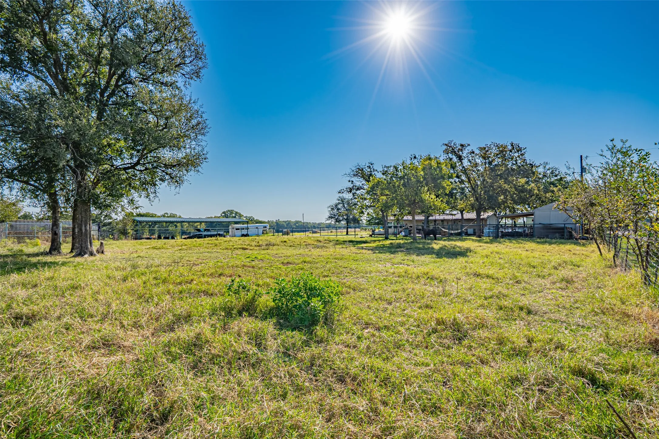 View of pen with shade trees.