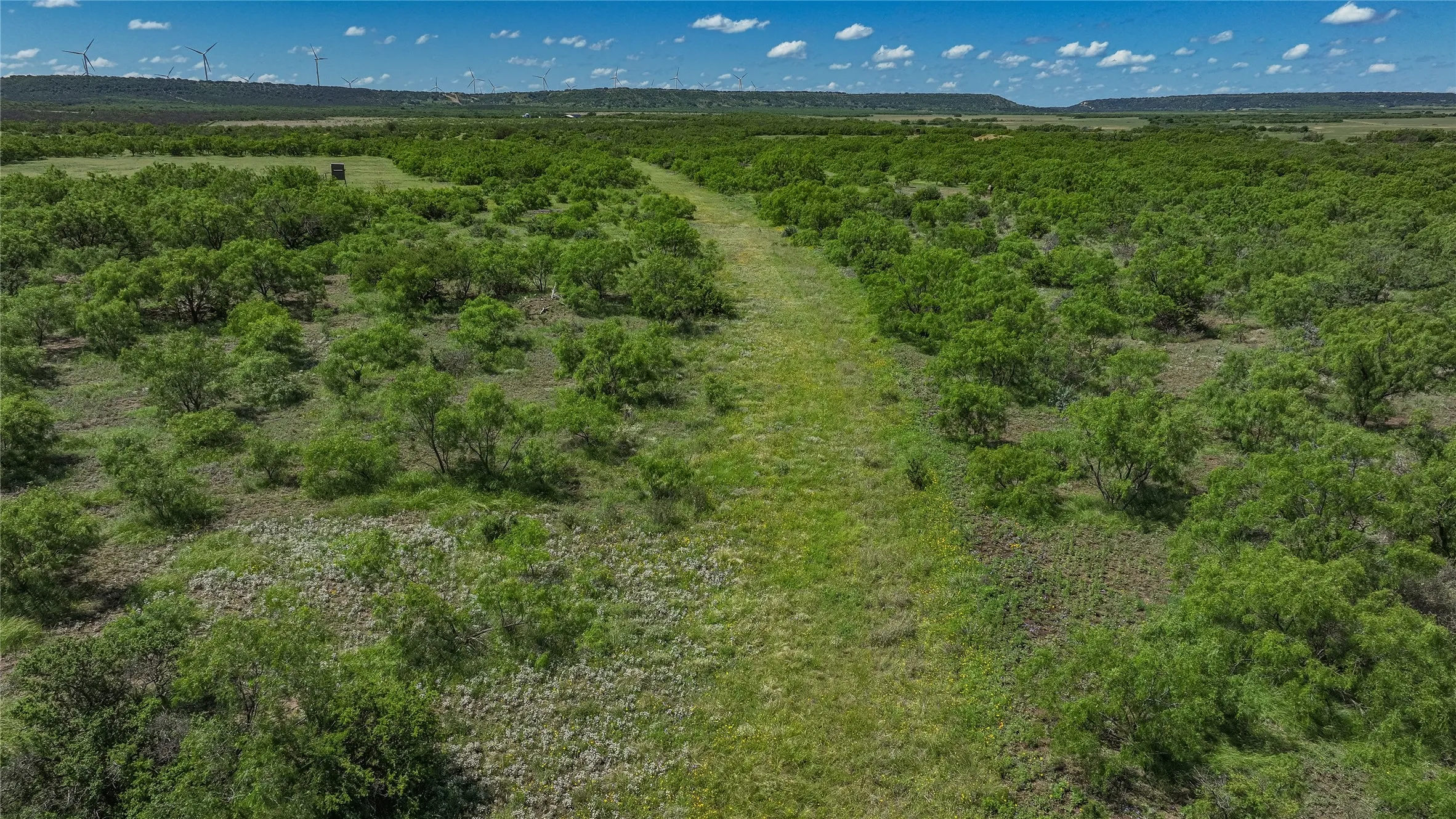 Improved Land For Sale in Mc Culloch County , 6025 FM 504, Lohn, Texas 76852, 0, 0, Garage spaces, 0 Sqft, built in 0, Price $1,911,206, mls#21258699, Real Estate Agent in Lohn, Homes For Sale in Mc Culloch county, Homes For Sale in Lohn, Realtor in Lohn Texas, Real Estate Brokerage Independent Realty Texas, Luminita Cordes Realtor