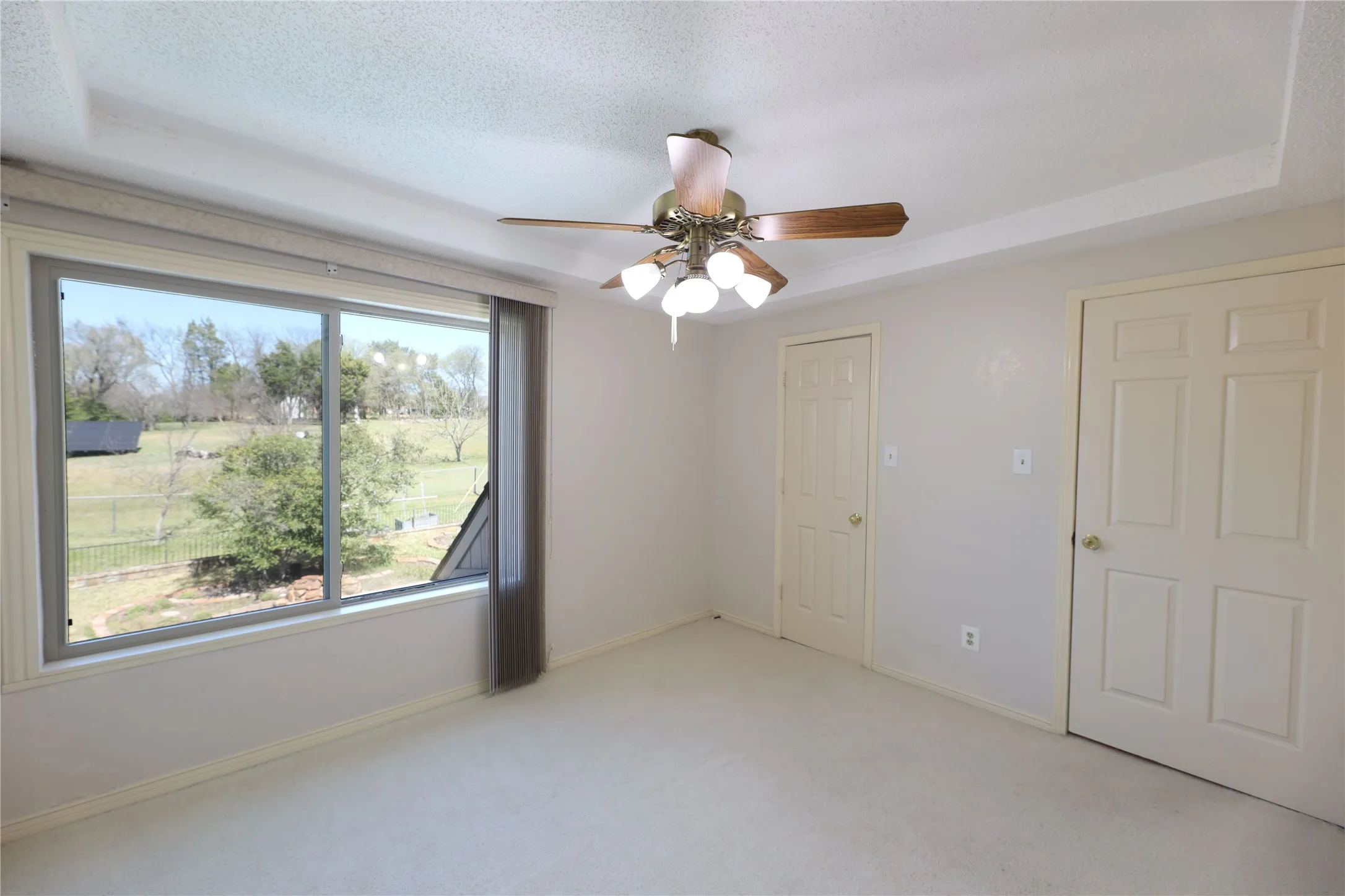Spacious room featuring a tray ceiling, ceiling fan with light fixture, light-colored carpeting, multiple paneled doors, and a large window overlooking green spaces