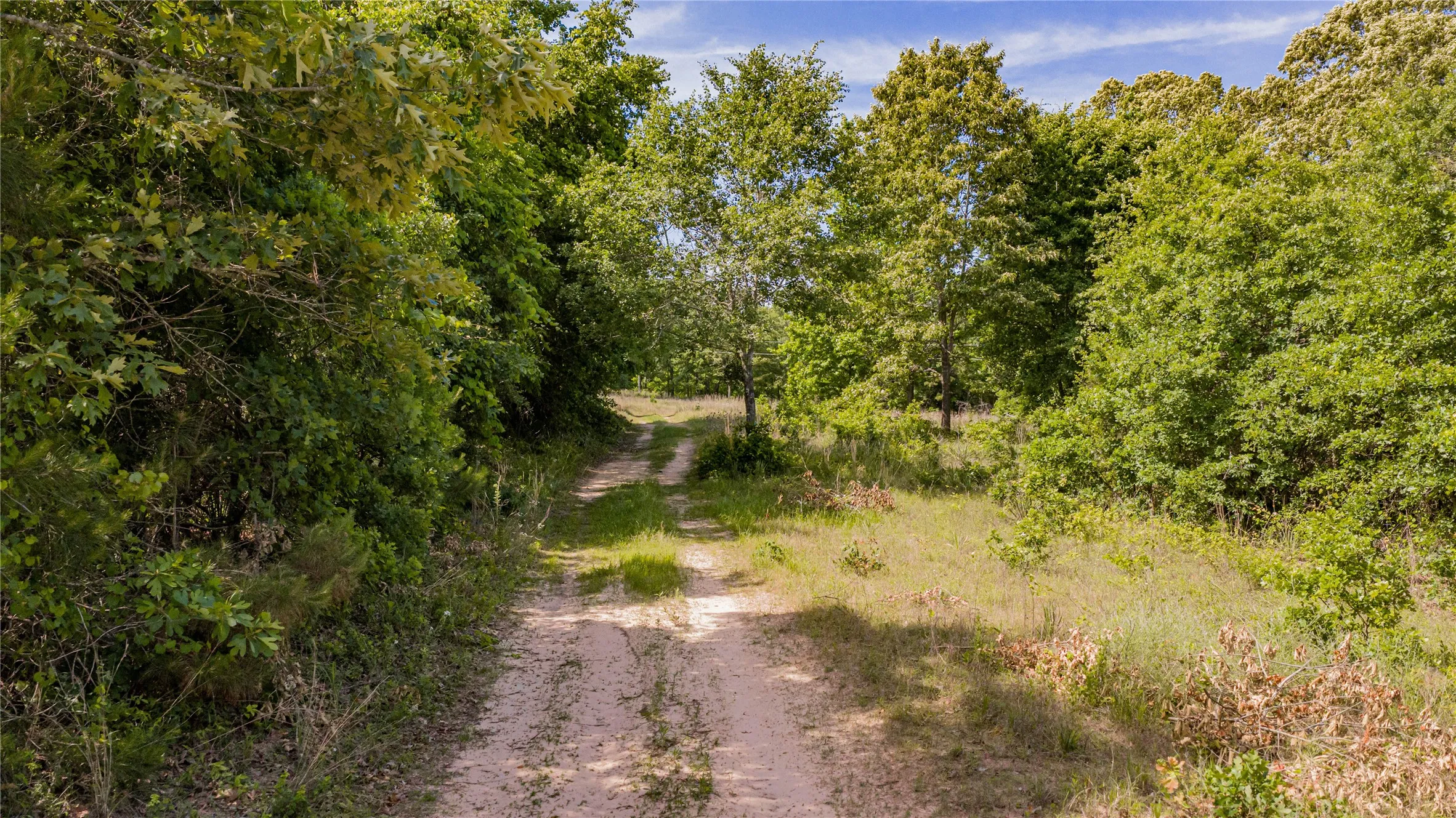 Nature is alive on this 140 acre Homestead - 4WD is the new comfort ride so you can explore every corner!