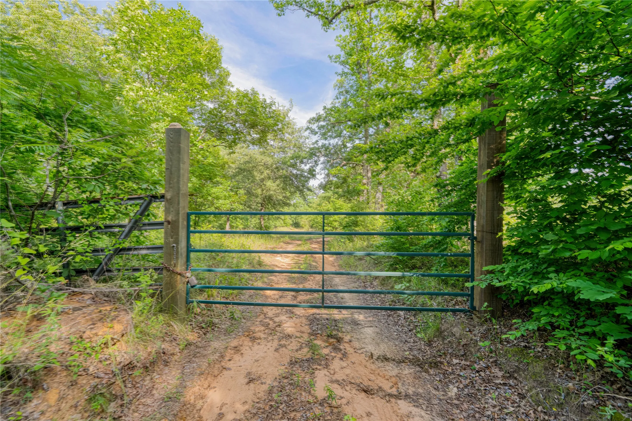 Gated property entrance with a dirt road, framed by mature trees and natural landscaping