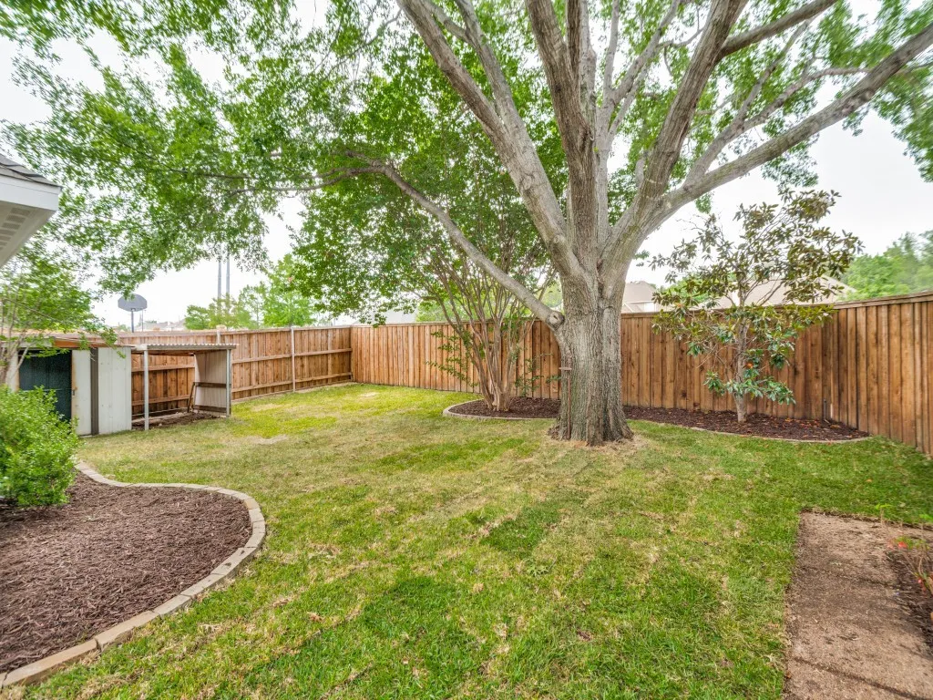 Spacious backyard featuring a substantial mature tree