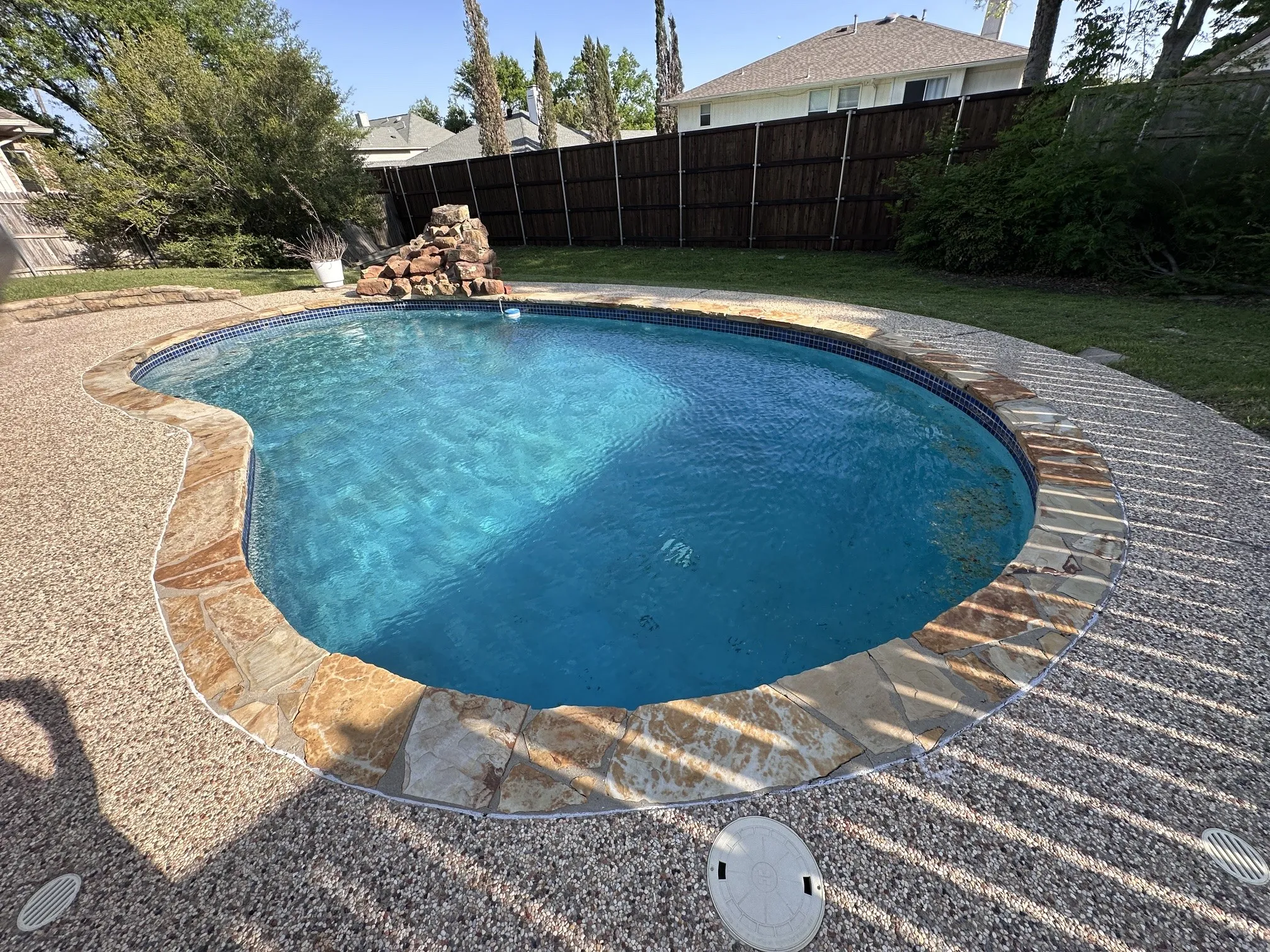 Backyard featuring a freeform swimming pool