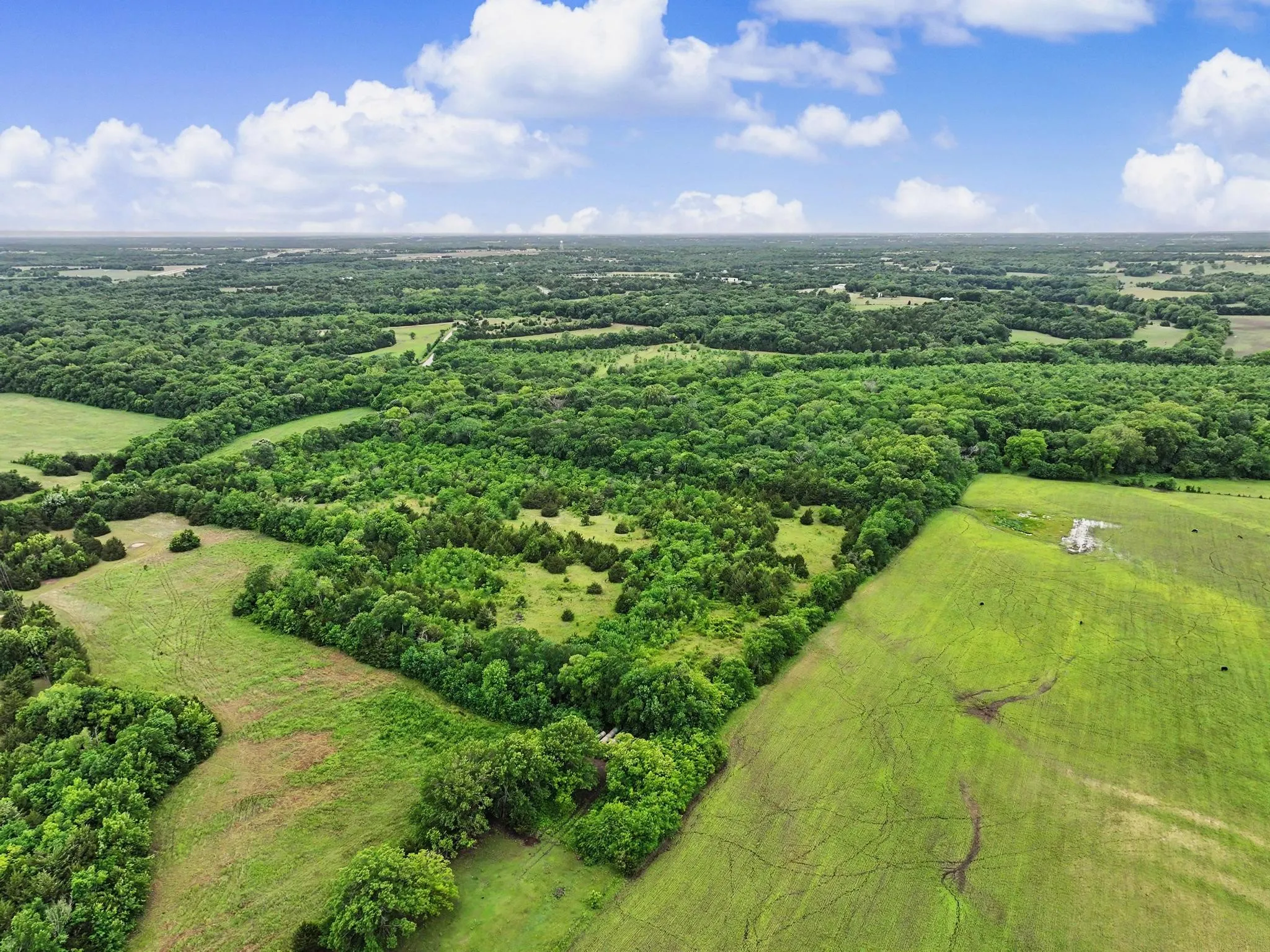 Unimproved Land For Sale in Collin County , 0002 CR 584, Anna, Texas 95409, 0, 0, Garage spaces, 0 Sqft, built in 0, Price $1,540,000, mls#21262706, Real Estate Agent in Anna, Homes For Sale in Collin county, Homes For Sale in Anna, Realtor in Anna Texas, Real Estate Brokerage Independent Realty Texas, Luminita Cordes Realtor