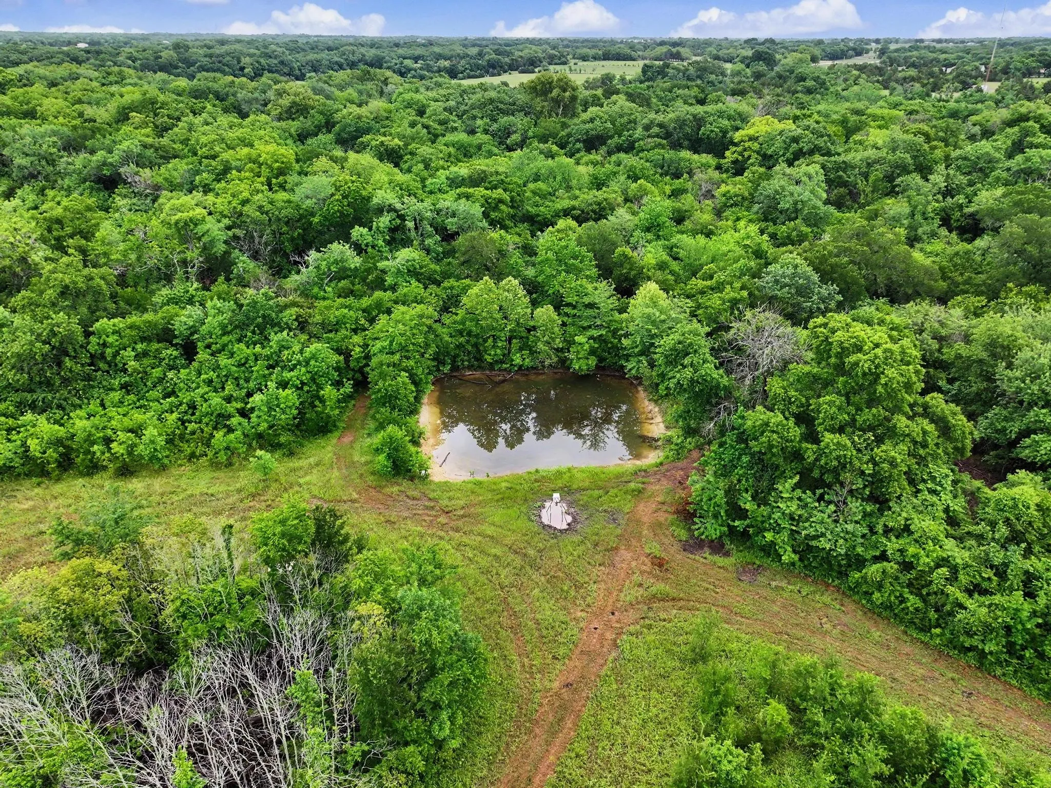 Unimproved Land For Sale in Collin County , 0002 CR 584, Anna, Texas 95409, 0, 0, Garage spaces, 0 Sqft, built in 0, Price $1,540,000, mls#21262706, Real Estate Agent in Anna, Homes For Sale in Collin county, Homes For Sale in Anna, Realtor in Anna Texas, Real Estate Brokerage Independent Realty Texas, Luminita Cordes Realtor