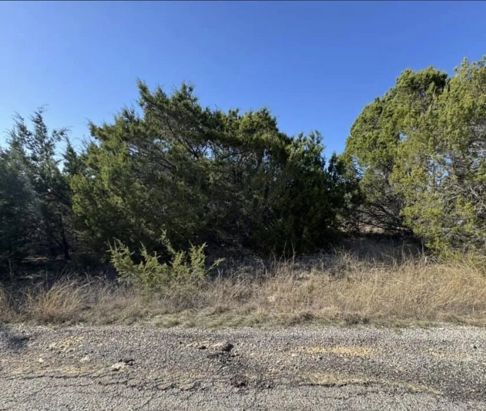 Unimproved Land For Sale in Hood County , 4711 Evening View Drive, Granbury, Texas 76048, 0, 0, Garage spaces, 0 Sqft, built in 0, mls#21262724, Real Estate Agent in Granbury, Homes For Sale in Hood county, Homes For Sale in Granbury, Realtor in Granbury Texas, Real Estate Brokerage Independent Realty Texas, Luminita Cordes Realtor
