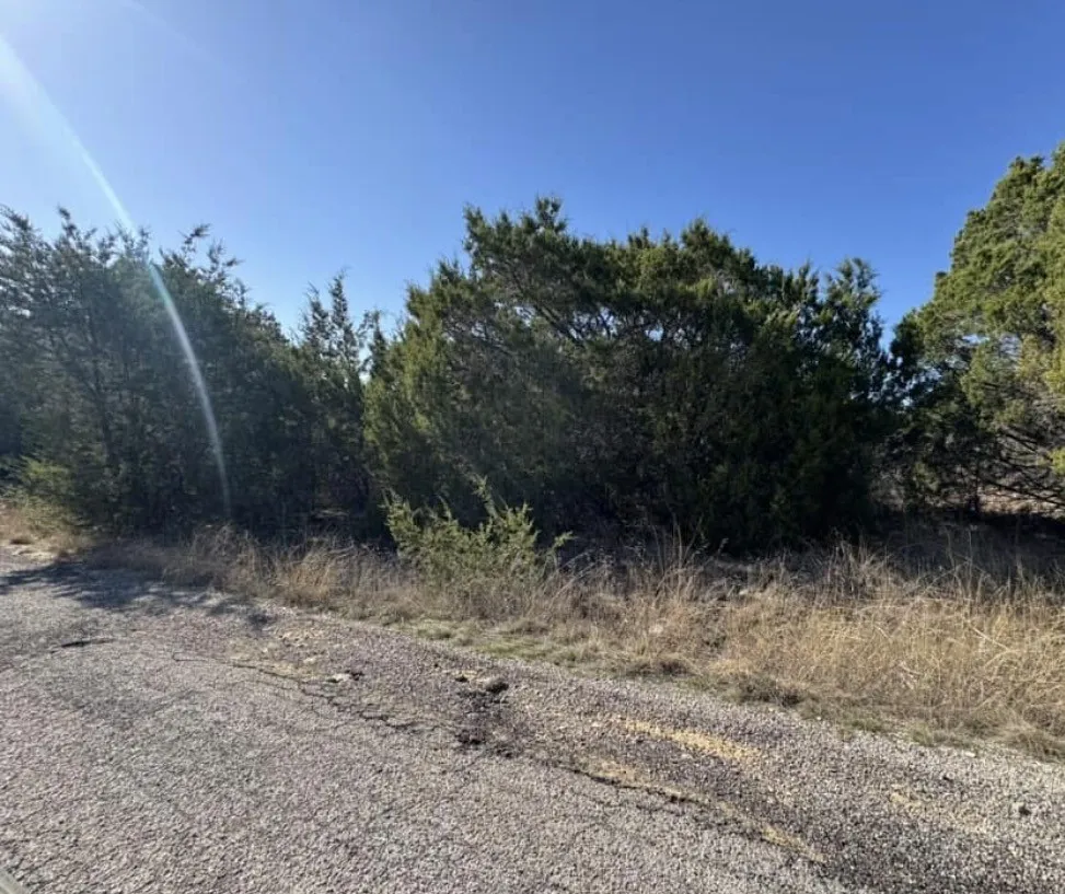 Natural landscaping with mature evergreen trees and a gravel road frontage