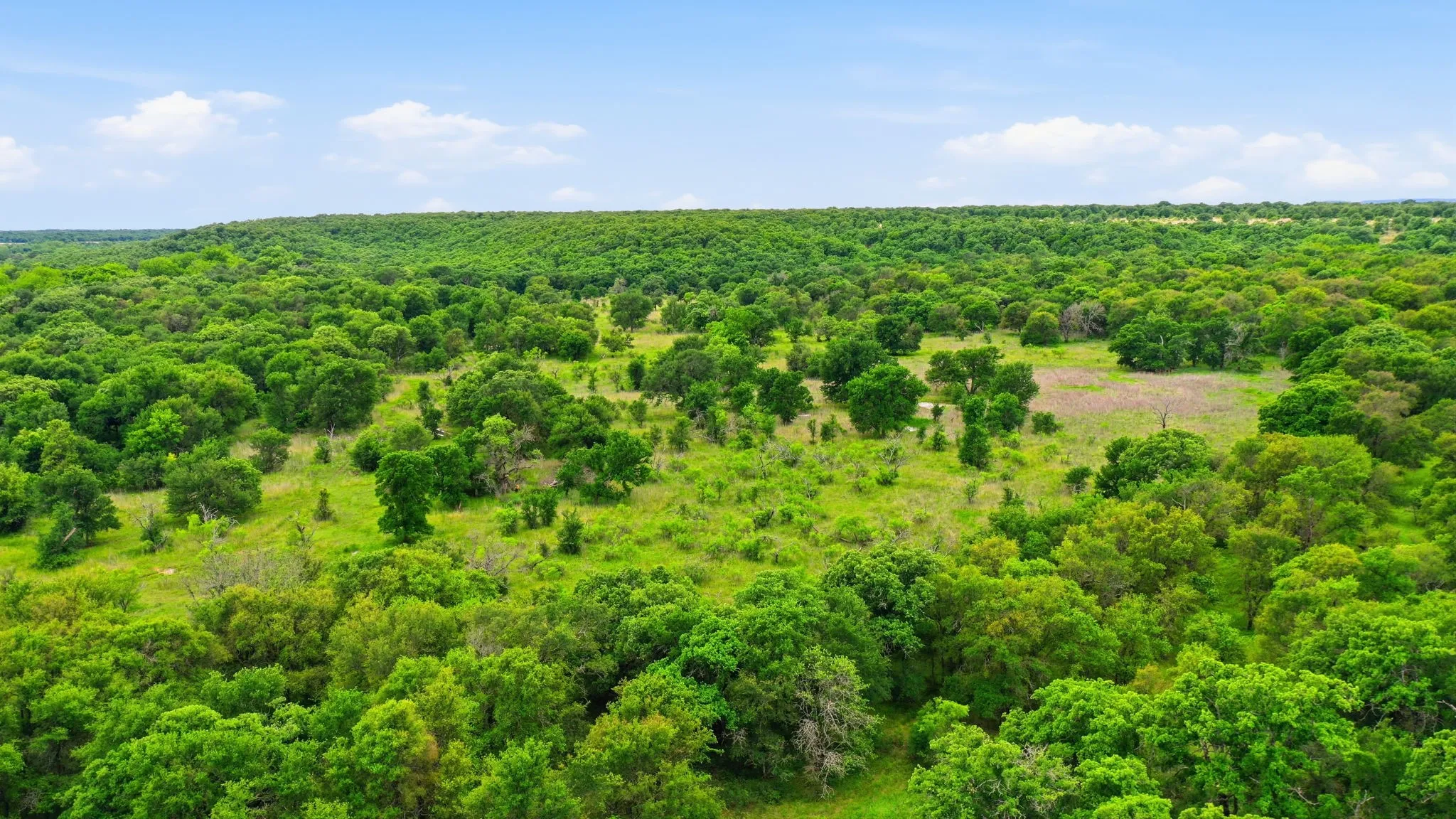 Ranch For Sale in Jack County , TBD Old Postoak Road, Bowie, Texas 76230, 0, 0, Garage spaces, 0 Sqft, built in 2010, mls#21260910, Real Estate Agent in Bowie, Homes For Sale in Jack county, Homes For Sale in Bowie, Realtor in Bowie Texas, Real Estate Brokerage Independent Realty Texas, Luminita Cordes Realtor