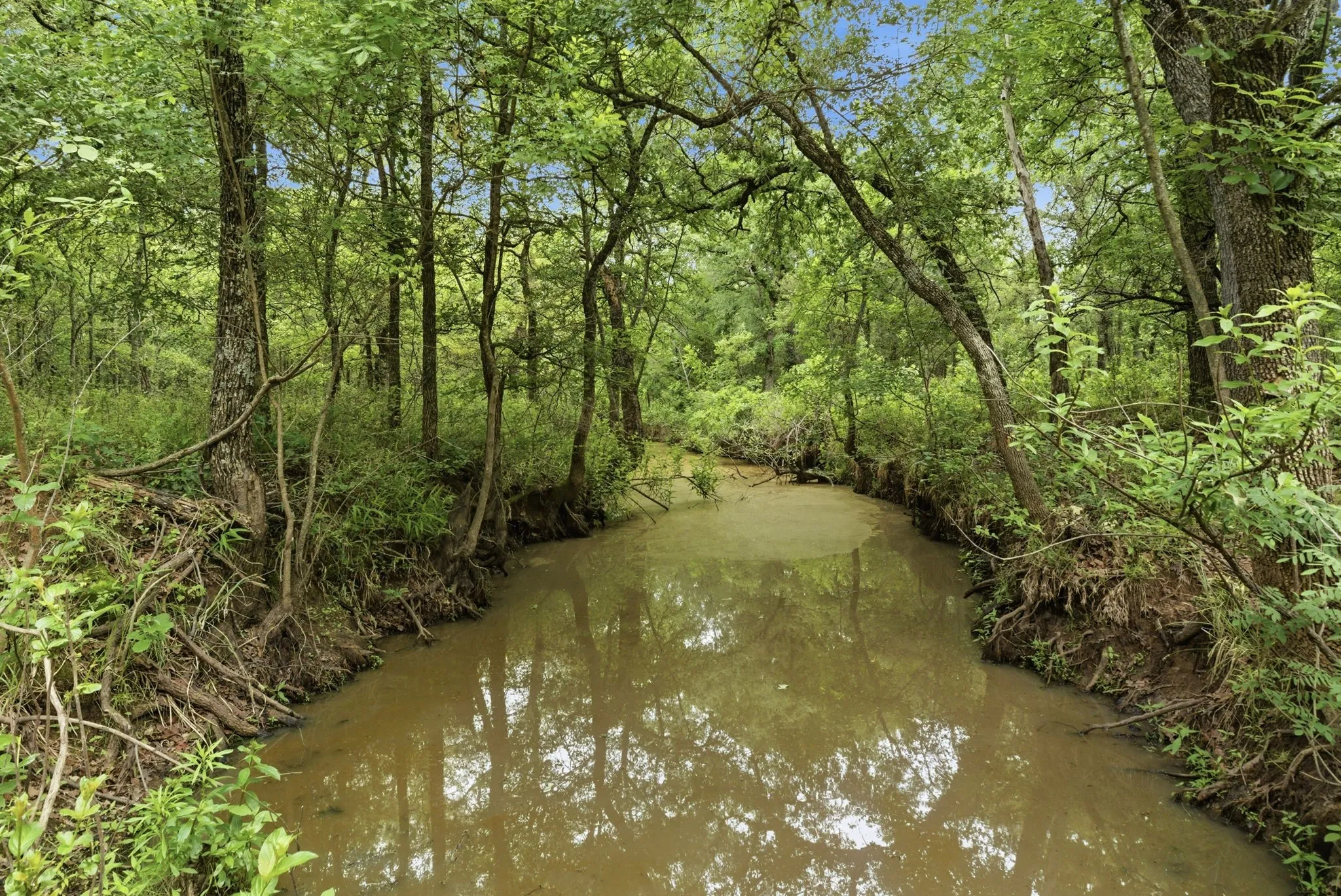 Ranch For Sale in Jack County , TBD Old Postoak Road, Bowie, Texas 76230, 0, 0, Garage spaces, 0 Sqft, built in 2010, mls#21260910, Real Estate Agent in Bowie, Homes For Sale in Jack county, Homes For Sale in Bowie, Realtor in Bowie Texas, Real Estate Brokerage Independent Realty Texas, Luminita Cordes Realtor