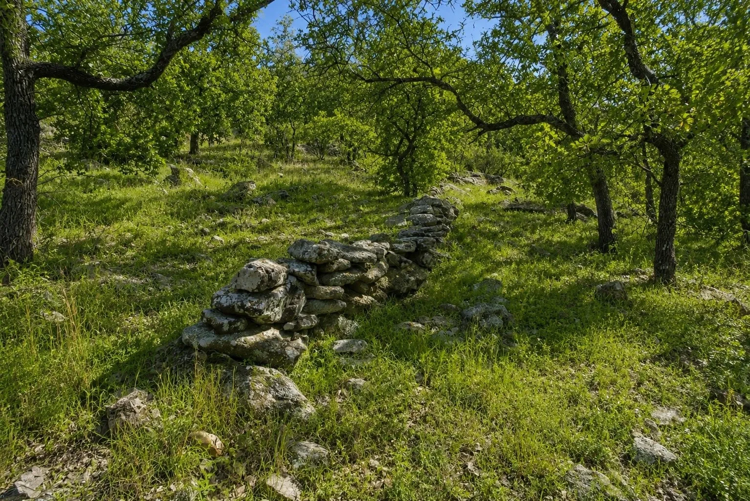 Ranch For Sale in Jack County , TBD Old Postoak Road, Bowie, Texas 76230, 0, 0, Garage spaces, 0 Sqft, built in 2010, mls#21260910, Real Estate Agent in Bowie, Homes For Sale in Jack county, Homes For Sale in Bowie, Realtor in Bowie Texas, Real Estate Brokerage Independent Realty Texas, Luminita Cordes Realtor