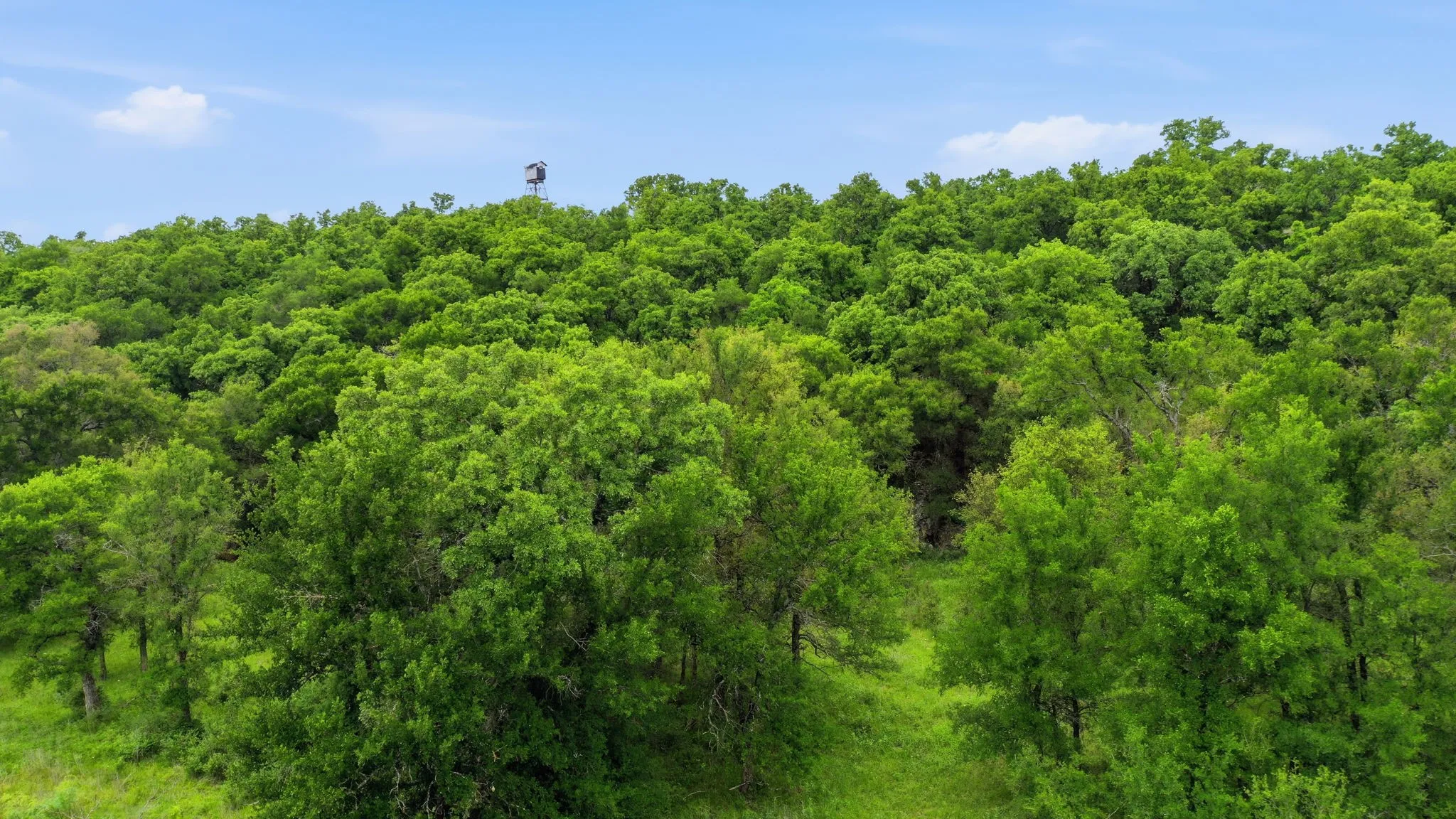 Ranch For Sale in Jack County , TBD Old Postoak Road, Bowie, Texas 76230, 0, 0, Garage spaces, 0 Sqft, built in 2010, mls#21260910, Real Estate Agent in Bowie, Homes For Sale in Jack county, Homes For Sale in Bowie, Realtor in Bowie Texas, Real Estate Brokerage Independent Realty Texas, Luminita Cordes Realtor