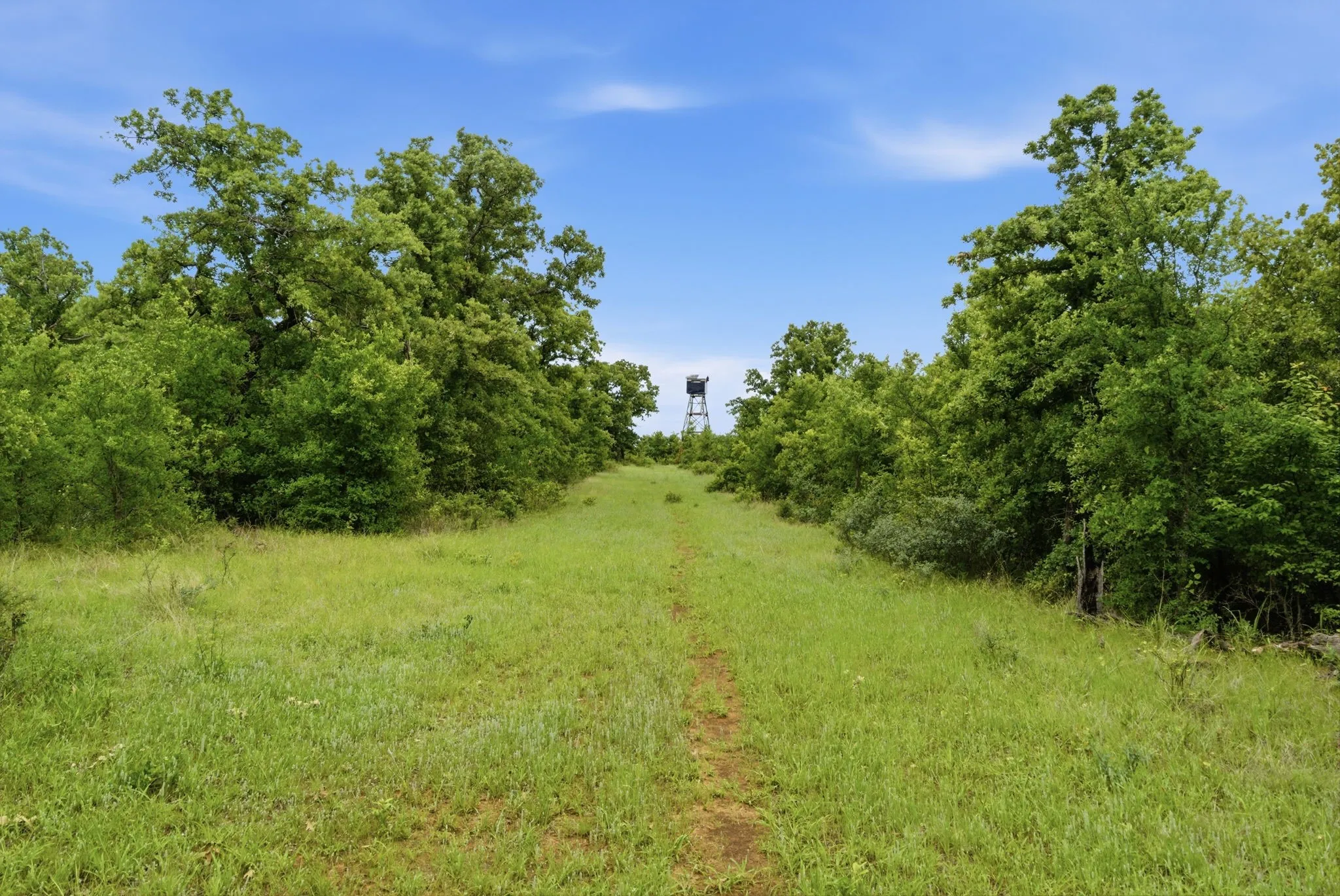 Ranch For Sale in Jack County , TBD Old Postoak Road, Bowie, Texas 76230, 0, 0, Garage spaces, 0 Sqft, built in 2010, mls#21260910, Real Estate Agent in Bowie, Homes For Sale in Jack county, Homes For Sale in Bowie, Realtor in Bowie Texas, Real Estate Brokerage Independent Realty Texas, Luminita Cordes Realtor