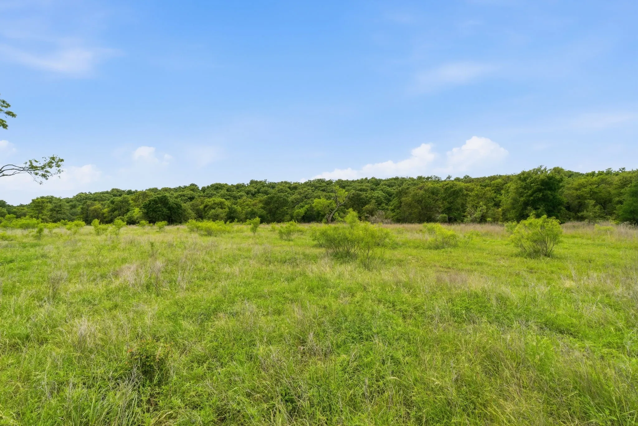 Ranch For Sale in Jack County , TBD Old Postoak Road, Bowie, Texas 76230, 0, 0, Garage spaces, 0 Sqft, built in 2010, mls#21260910, Real Estate Agent in Bowie, Homes For Sale in Jack county, Homes For Sale in Bowie, Realtor in Bowie Texas, Real Estate Brokerage Independent Realty Texas, Luminita Cordes Realtor