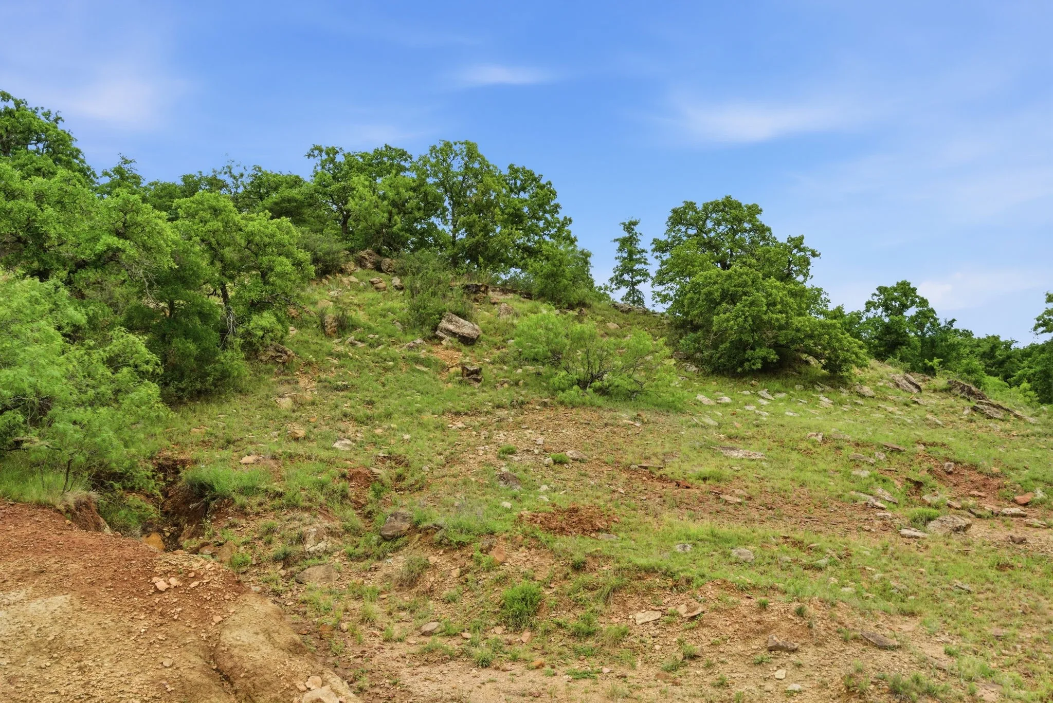 Ranch For Sale in Jack County , TBD Old Postoak Road, Bowie, Texas 76230, 0, 0, Garage spaces, 0 Sqft, built in 2010, mls#21260910, Real Estate Agent in Bowie, Homes For Sale in Jack county, Homes For Sale in Bowie, Realtor in Bowie Texas, Real Estate Brokerage Independent Realty Texas, Luminita Cordes Realtor