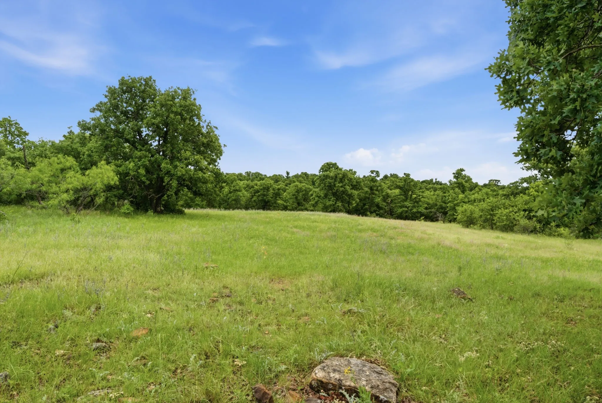 Ranch For Sale in Jack County , TBD Old Postoak Road, Bowie, Texas 76230, 0, 0, Garage spaces, 0 Sqft, built in 2010, mls#21260910, Real Estate Agent in Bowie, Homes For Sale in Jack county, Homes For Sale in Bowie, Realtor in Bowie Texas, Real Estate Brokerage Independent Realty Texas, Luminita Cordes Realtor