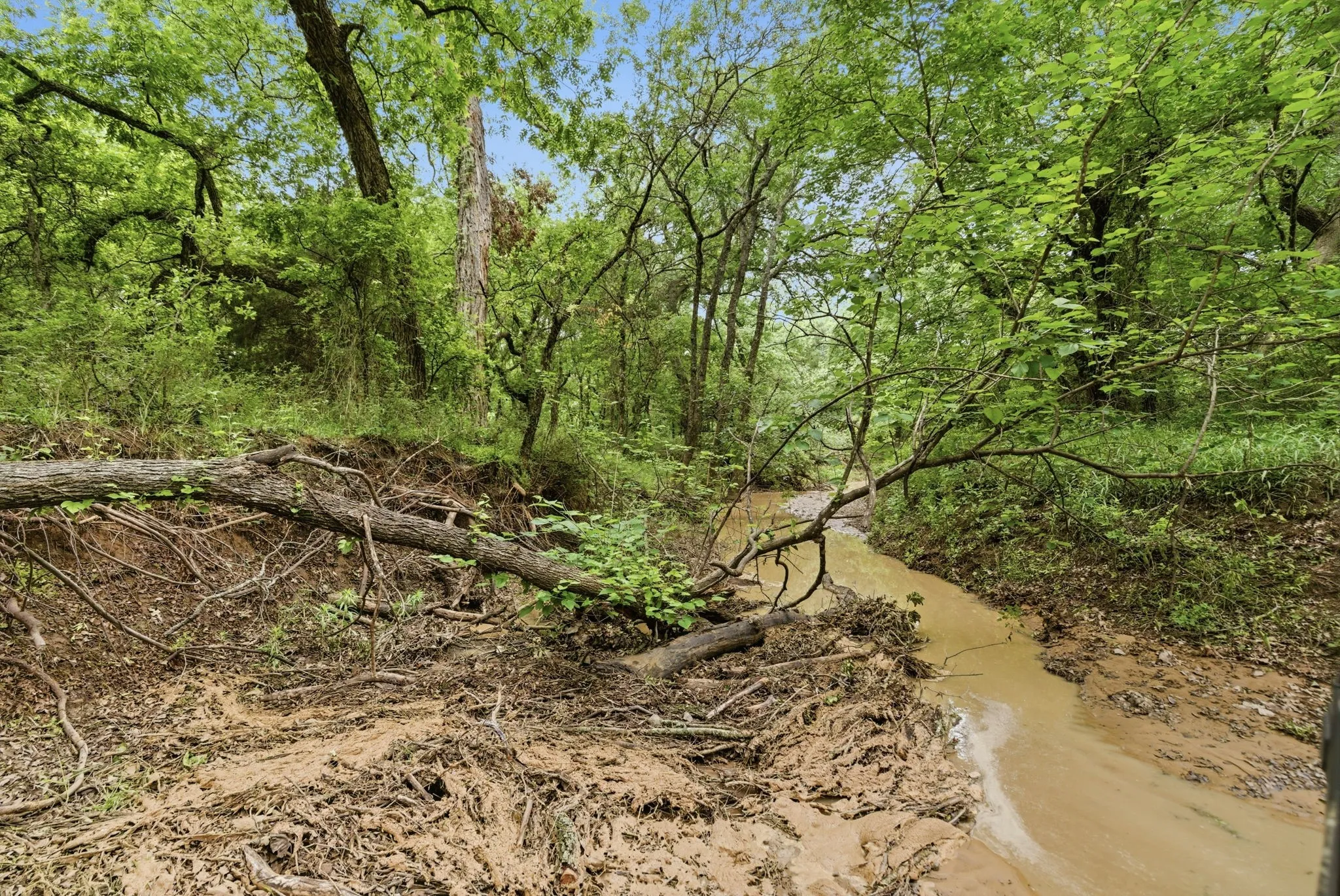 Ranch For Sale in Jack County , TBD Old Postoak Road, Bowie, Texas 76230, 0, 0, Garage spaces, 0 Sqft, built in 2010, mls#21260910, Real Estate Agent in Bowie, Homes For Sale in Jack county, Homes For Sale in Bowie, Realtor in Bowie Texas, Real Estate Brokerage Independent Realty Texas, Luminita Cordes Realtor