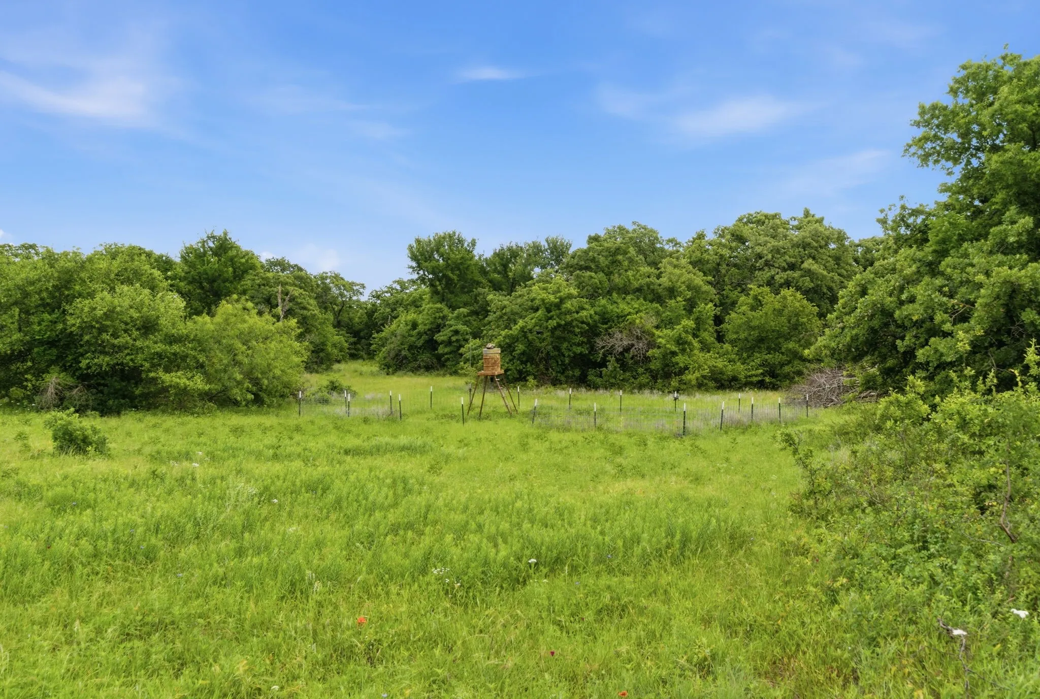 Ranch For Sale in Jack County , TBD Old Postoak Road, Bowie, Texas 76230, 0, 0, Garage spaces, 0 Sqft, built in 2010, mls#21260910, Real Estate Agent in Bowie, Homes For Sale in Jack county, Homes For Sale in Bowie, Realtor in Bowie Texas, Real Estate Brokerage Independent Realty Texas, Luminita Cordes Realtor