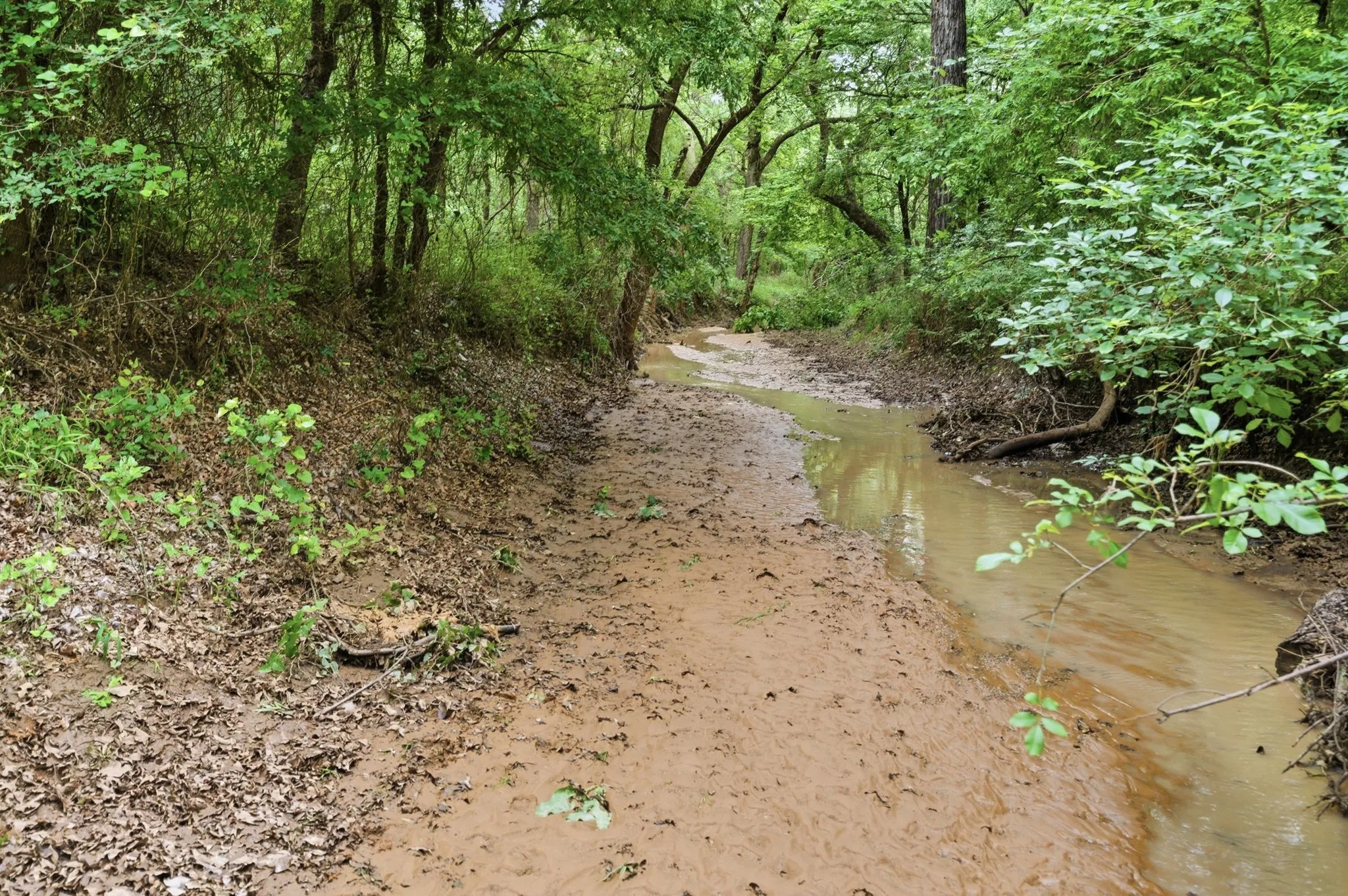 Ranch For Sale in Jack County , TBD Old Postoak Road, Bowie, Texas 76230, 0, 0, Garage spaces, 0 Sqft, built in 2010, mls#21260910, Real Estate Agent in Bowie, Homes For Sale in Jack county, Homes For Sale in Bowie, Realtor in Bowie Texas, Real Estate Brokerage Independent Realty Texas, Luminita Cordes Realtor