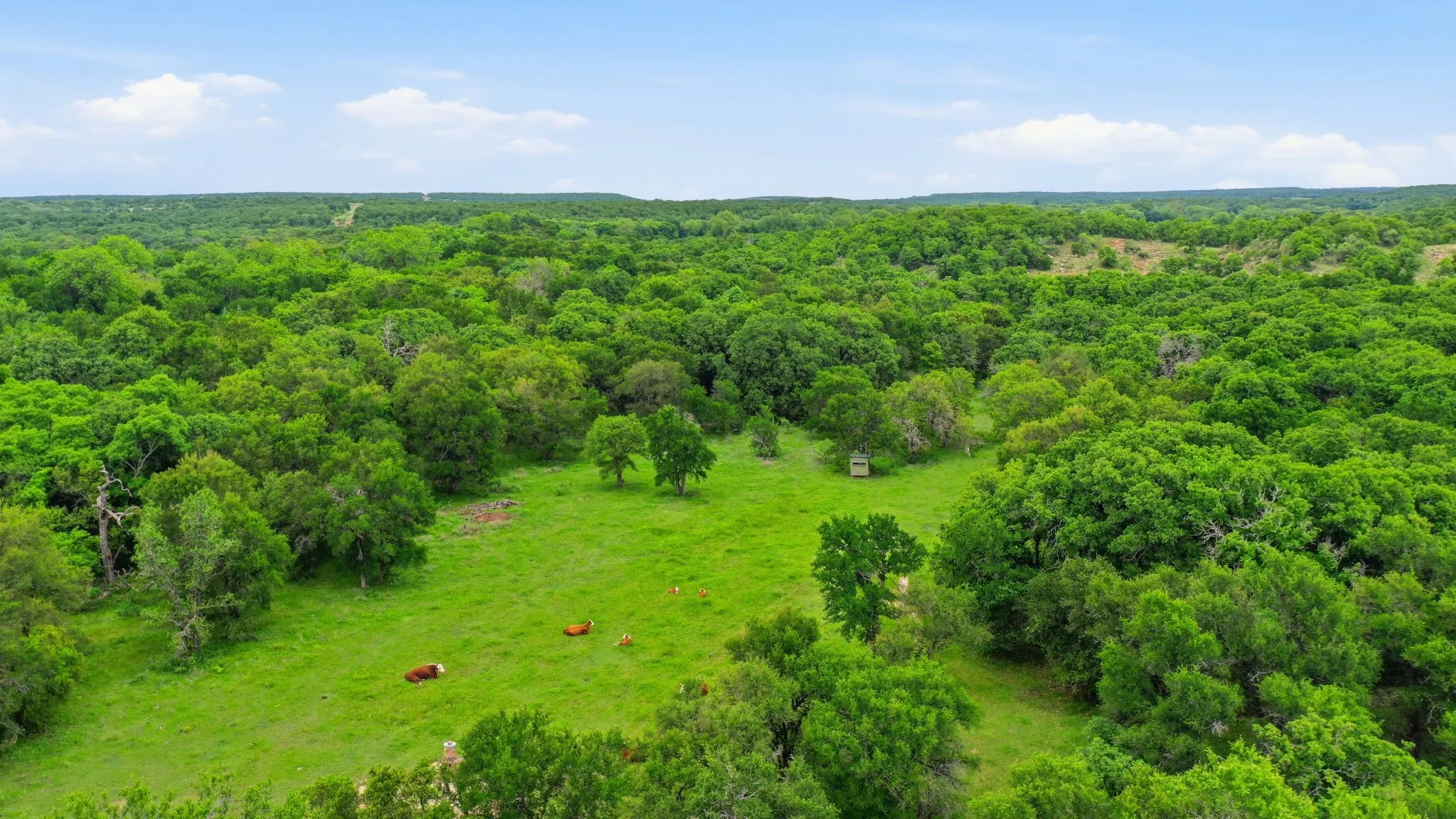 Ranch For Sale in Jack County , TBD Old Postoak Road, Bowie, Texas 76230, 0, 0, Garage spaces, 0 Sqft, built in 2010, mls#21260910, Real Estate Agent in Bowie, Homes For Sale in Jack county, Homes For Sale in Bowie, Realtor in Bowie Texas, Real Estate Brokerage Independent Realty Texas, Luminita Cordes Realtor