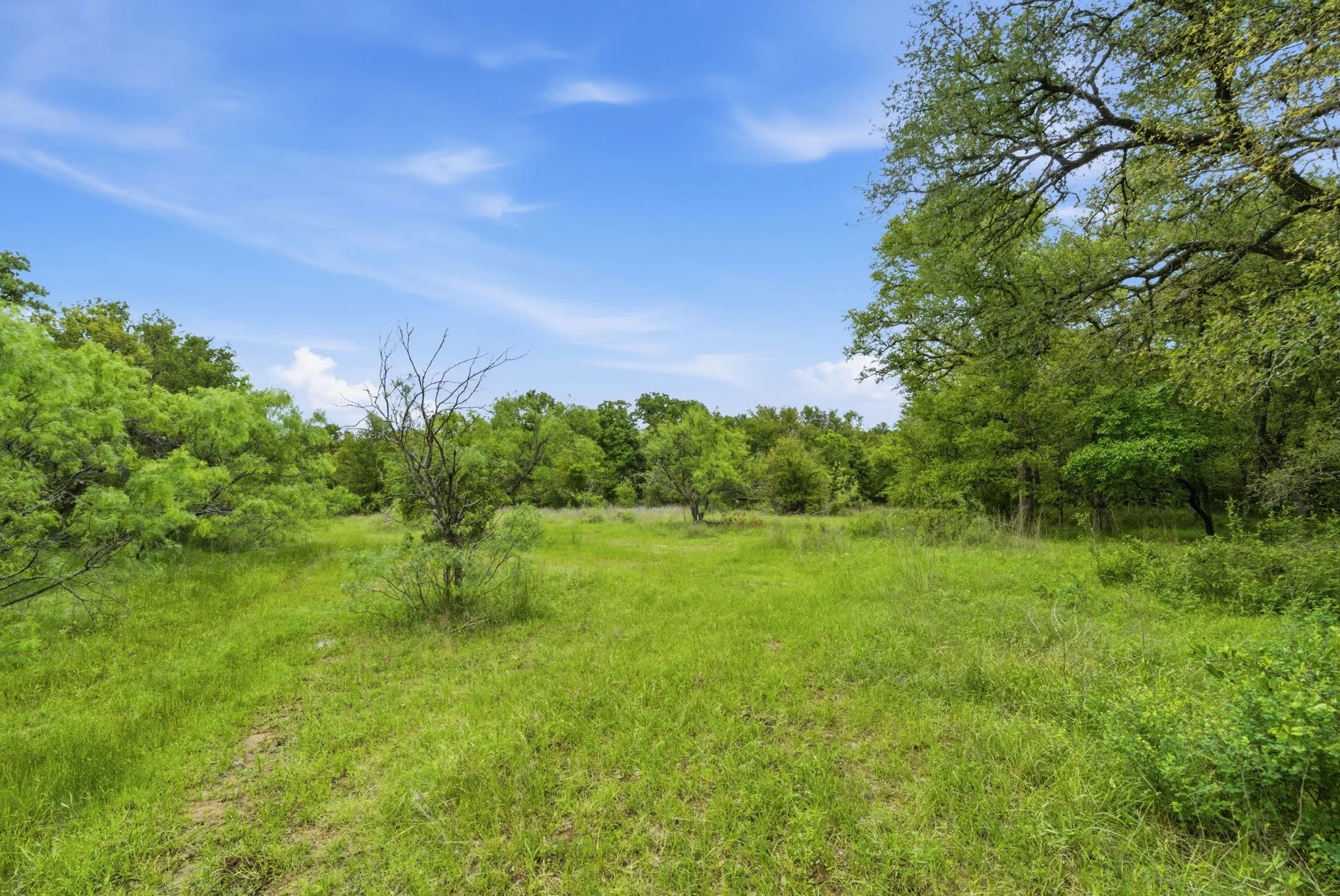 Ranch For Sale in Jack County , TBD Old Postoak Road, Bowie, Texas 76230, 0, 0, Garage spaces, 0 Sqft, built in 2010, mls#21260910, Real Estate Agent in Bowie, Homes For Sale in Jack county, Homes For Sale in Bowie, Realtor in Bowie Texas, Real Estate Brokerage Independent Realty Texas, Luminita Cordes Realtor