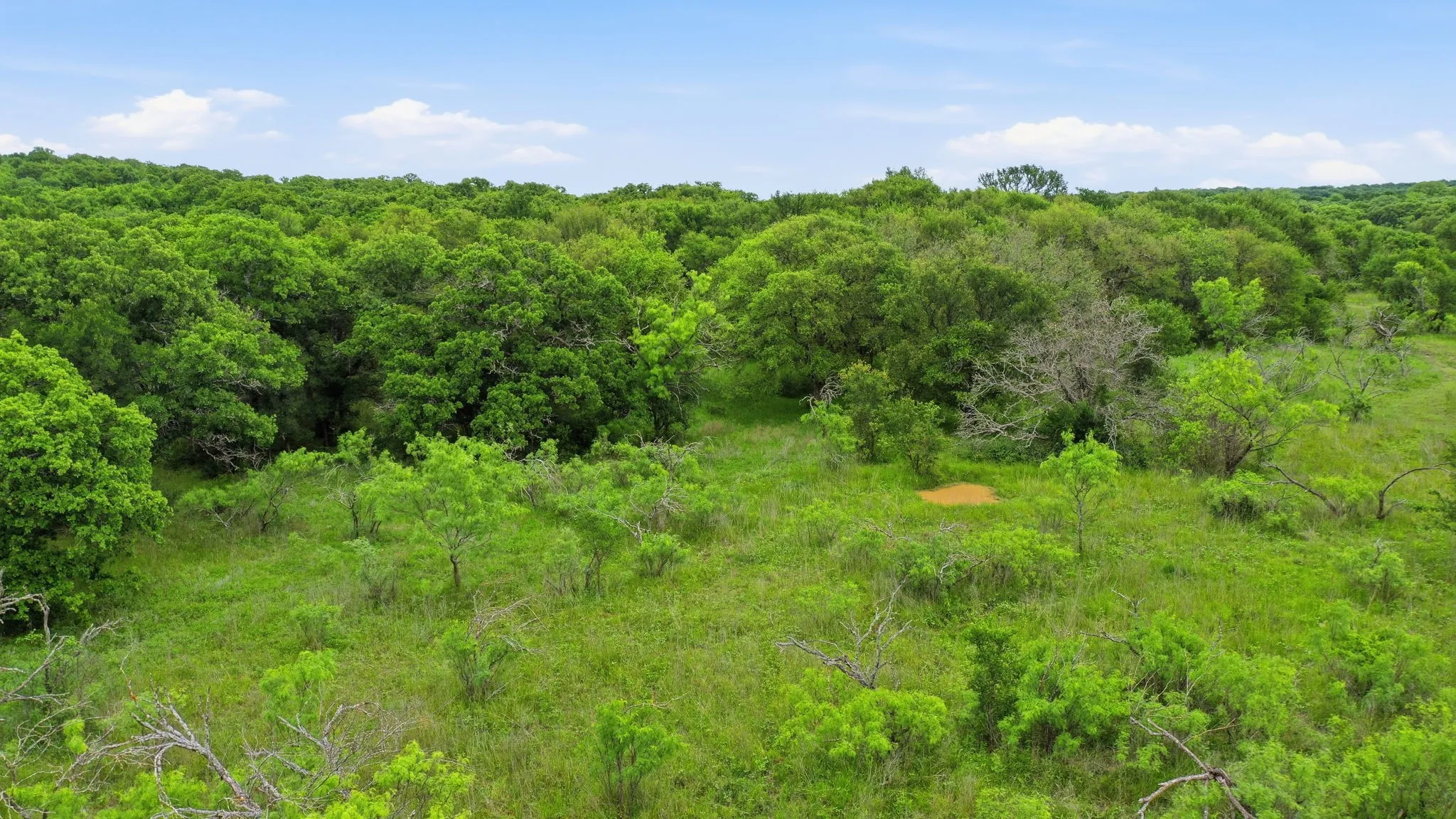 Ranch For Sale in Jack County , TBD Old Postoak Road, Bowie, Texas 76230, 0, 0, Garage spaces, 0 Sqft, built in 2010, mls#21260910, Real Estate Agent in Bowie, Homes For Sale in Jack county, Homes For Sale in Bowie, Realtor in Bowie Texas, Real Estate Brokerage Independent Realty Texas, Luminita Cordes Realtor