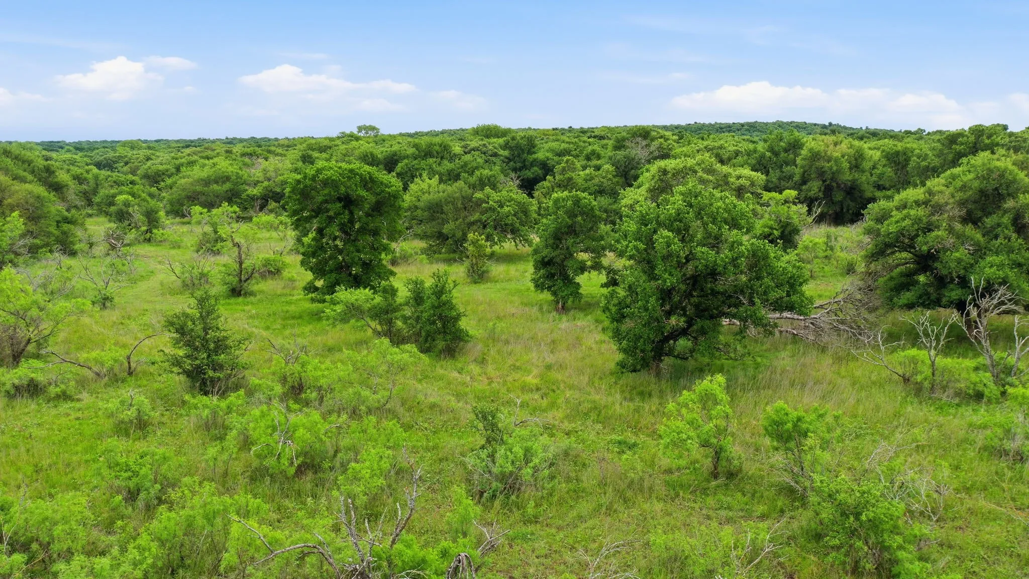 Ranch For Sale in Jack County , TBD Old Postoak Road, Bowie, Texas 76230, 0, 0, Garage spaces, 0 Sqft, built in 2010, mls#21260910, Real Estate Agent in Bowie, Homes For Sale in Jack county, Homes For Sale in Bowie, Realtor in Bowie Texas, Real Estate Brokerage Independent Realty Texas, Luminita Cordes Realtor