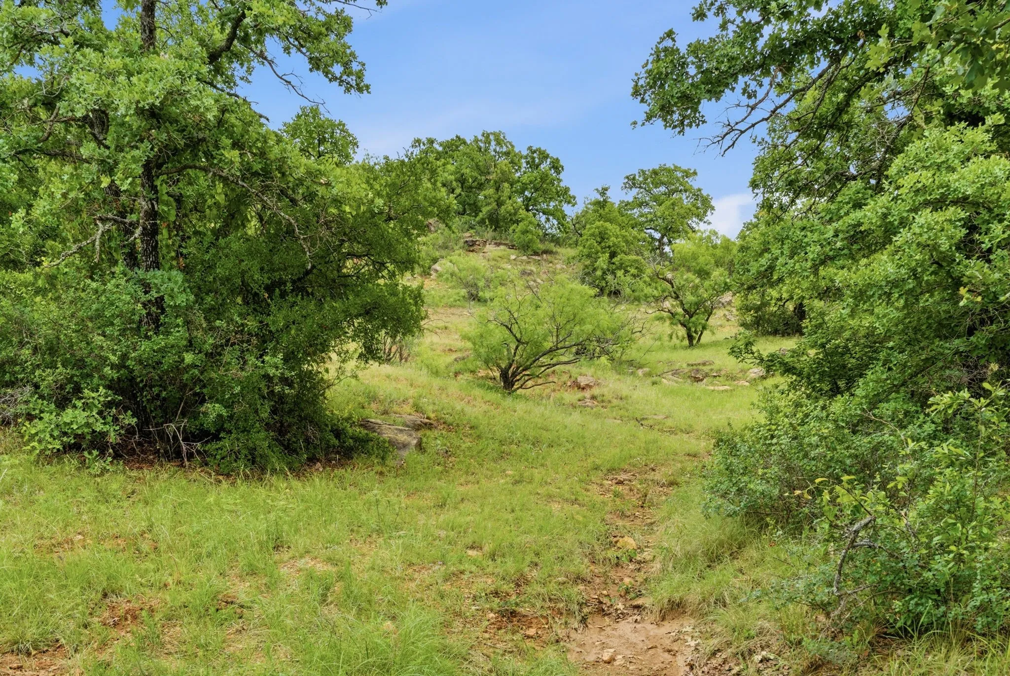 Ranch For Sale in Jack County , TBD Old Postoak Road, Bowie, Texas 76230, 0, 0, Garage spaces, 0 Sqft, built in 2010, mls#21260910, Real Estate Agent in Bowie, Homes For Sale in Jack county, Homes For Sale in Bowie, Realtor in Bowie Texas, Real Estate Brokerage Independent Realty Texas, Luminita Cordes Realtor