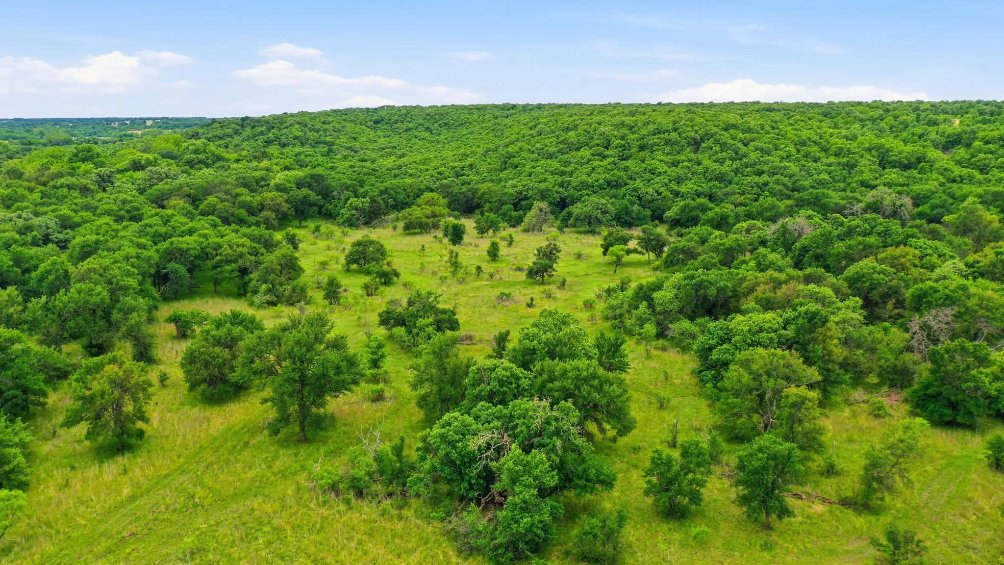 Ranch For Sale in Jack County , TBD Old Postoak Road, Bowie, Texas 76230, 0, 0, Garage spaces, 0 Sqft, built in 2010, mls#21260910, Real Estate Agent in Bowie, Homes For Sale in Jack county, Homes For Sale in Bowie, Realtor in Bowie Texas, Real Estate Brokerage Independent Realty Texas, Luminita Cordes Realtor