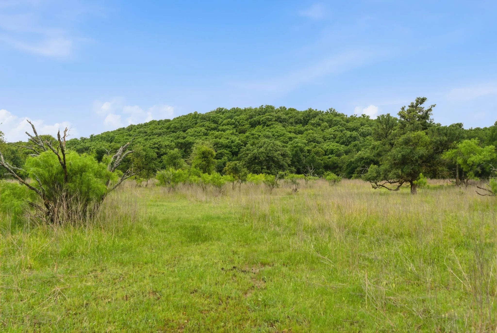 Ranch For Sale in Jack County , TBD Old Postoak Road, Bowie, Texas 76230, 0, 0, Garage spaces, 0 Sqft, built in 2010, mls#21260910, Real Estate Agent in Bowie, Homes For Sale in Jack county, Homes For Sale in Bowie, Realtor in Bowie Texas, Real Estate Brokerage Independent Realty Texas, Luminita Cordes Realtor