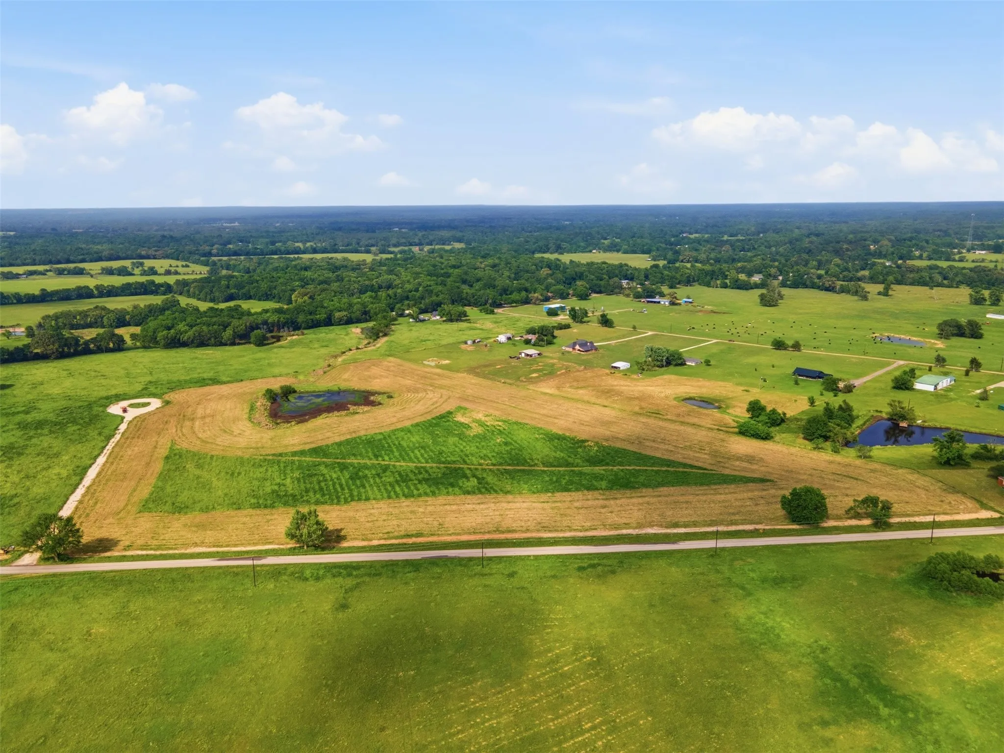 Improved Land For Sale in Titus County , 000 CR 1200, Mt Pleasant, Texas 75455, 0, 0, Garage spaces, 0 Sqft, built in 0, mls#21262796, Real Estate Agent in Mt Pleasant, Homes For Sale in Titus county, Homes For Sale in Mt Pleasant, Realtor in Mt Pleasant Texas, Real Estate Brokerage Independent Realty Texas, Luminita Cordes Realtor