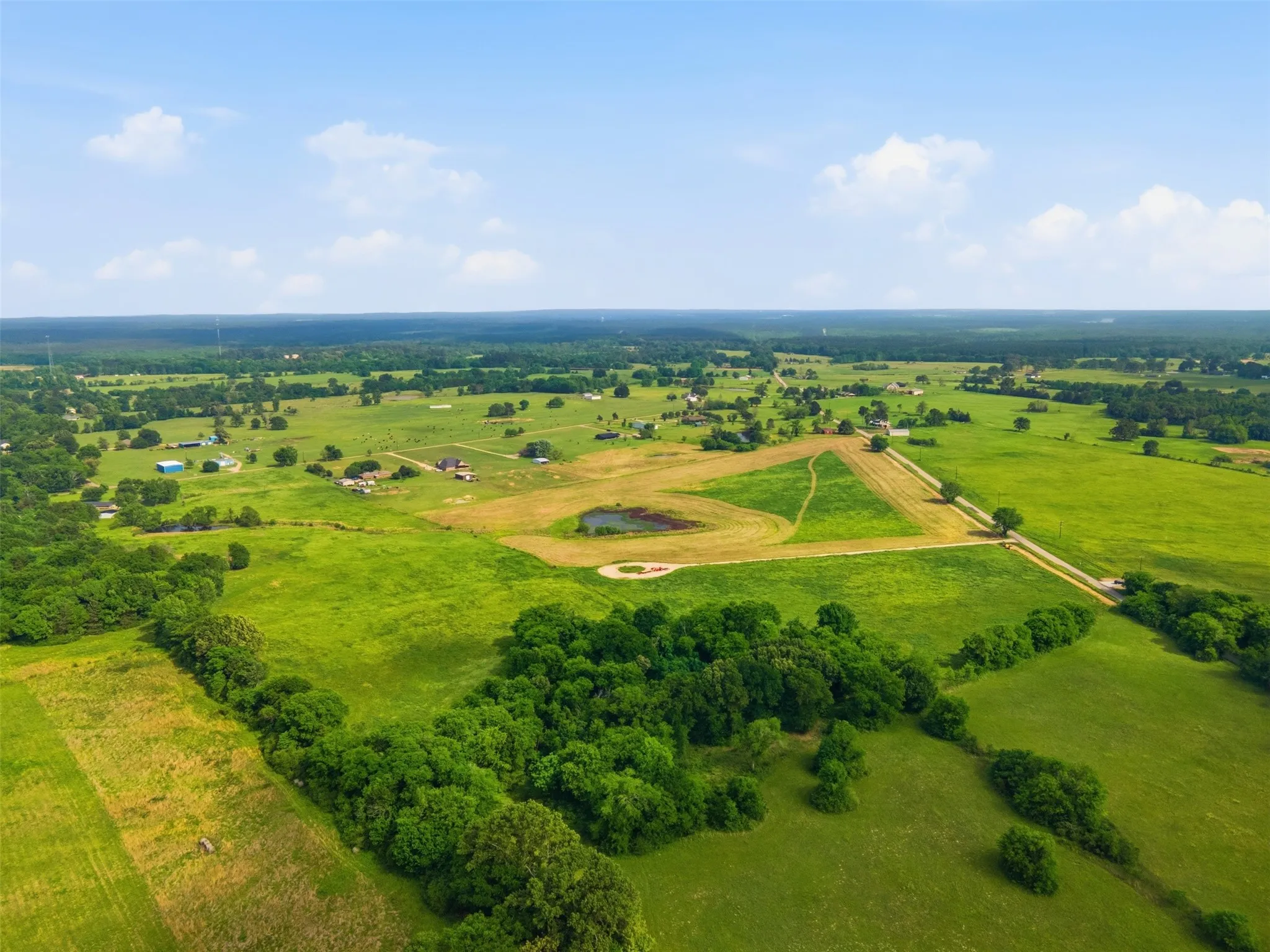 Improved Land For Sale in Titus County , 000 CR 1200, Mt Pleasant, Texas 75455, 0, 0, Garage spaces, 0 Sqft, built in 0, mls#21262796, Real Estate Agent in Mt Pleasant, Homes For Sale in Titus county, Homes For Sale in Mt Pleasant, Realtor in Mt Pleasant Texas, Real Estate Brokerage Independent Realty Texas, Luminita Cordes Realtor