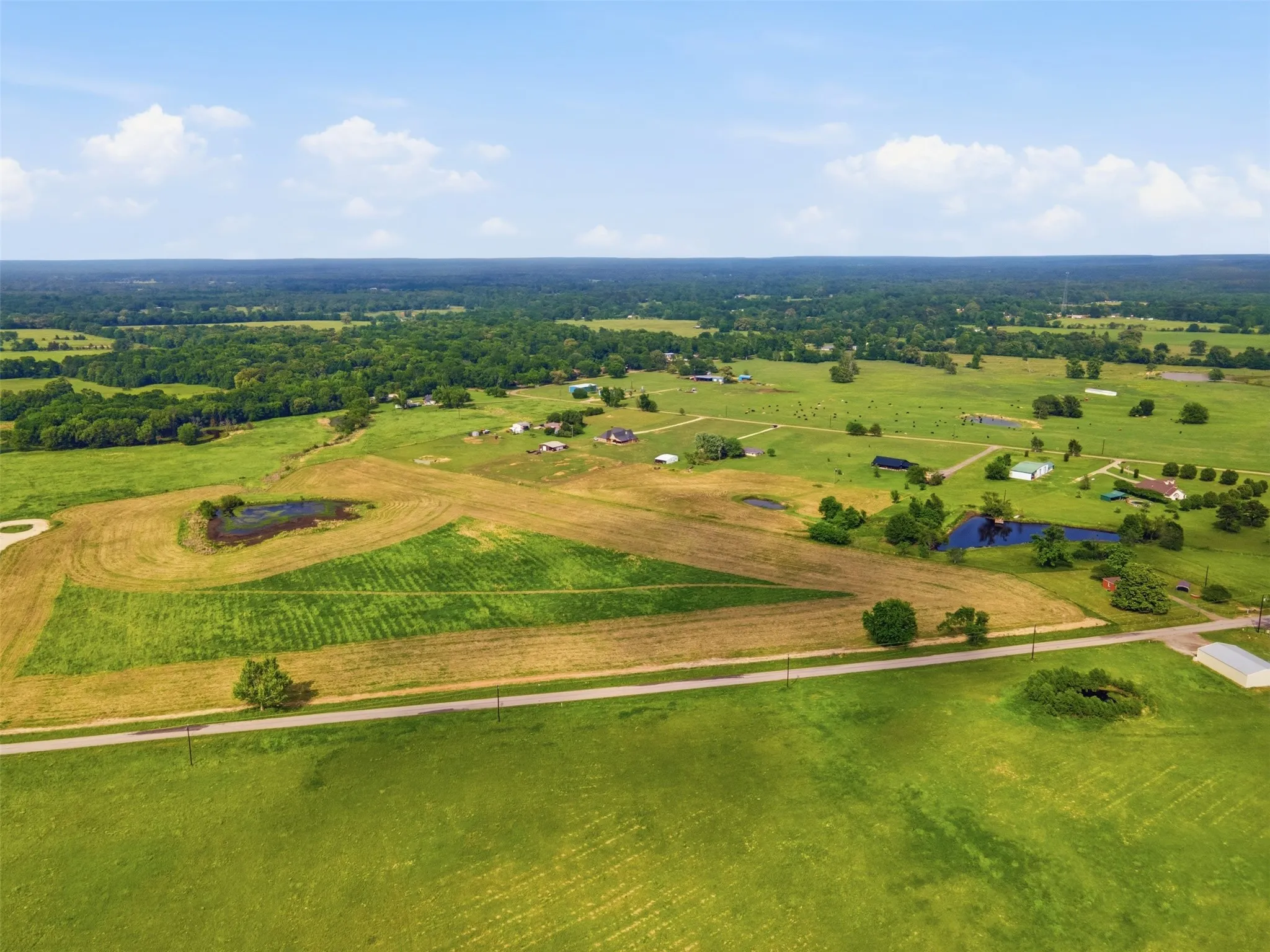 Improved Land For Sale in Titus County , 000 CR 1200, Mt Pleasant, Texas 75455, 0, 0, Garage spaces, 0 Sqft, built in 0, mls#21262796, Real Estate Agent in Mt Pleasant, Homes For Sale in Titus county, Homes For Sale in Mt Pleasant, Realtor in Mt Pleasant Texas, Real Estate Brokerage Independent Realty Texas, Luminita Cordes Realtor