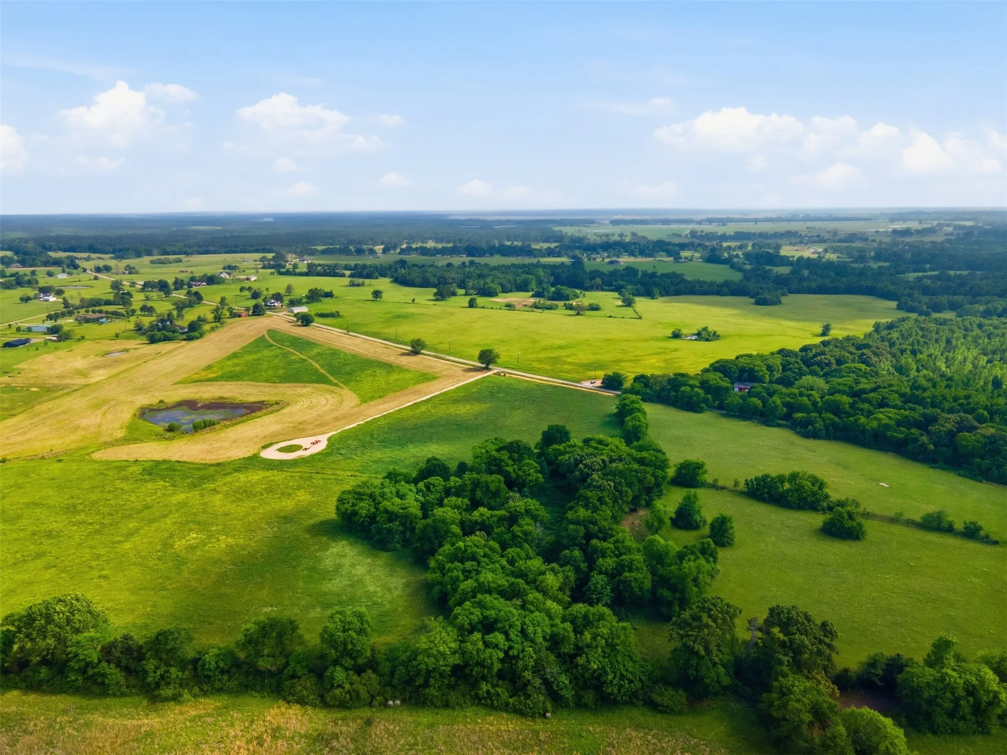 Improved Land For Sale in Titus County , 000 CR 1200, Mt Pleasant, Texas 75455, 0, 0, Garage spaces, 0 Sqft, built in 0, mls#21262796, Real Estate Agent in Mt Pleasant, Homes For Sale in Titus county, Homes For Sale in Mt Pleasant, Realtor in Mt Pleasant Texas, Real Estate Brokerage Independent Realty Texas, Luminita Cordes Realtor