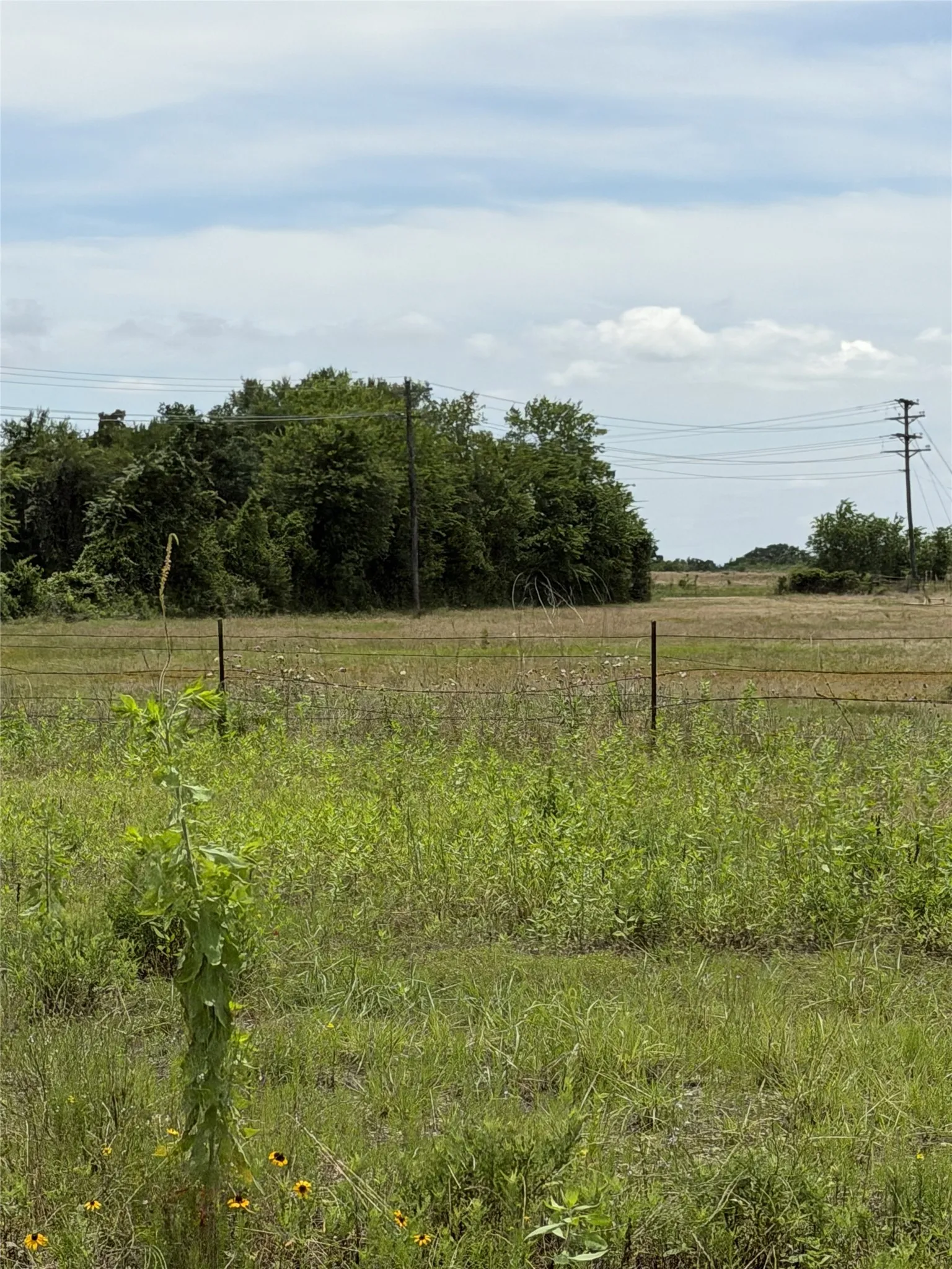Unimproved Land For Sale in Limestone County , 35 AC FM 1512, Donie, Texas 75838, 0, 0, Garage spaces, 0 Sqft, built in 0, Price $359,000, mls#21261176, Real Estate Agent in Donie, Homes For Sale in Limestone county, Homes For Sale in Donie, Realtor in Donie Texas, Real Estate Brokerage Independent Realty Texas, Luminita Cordes Realtor