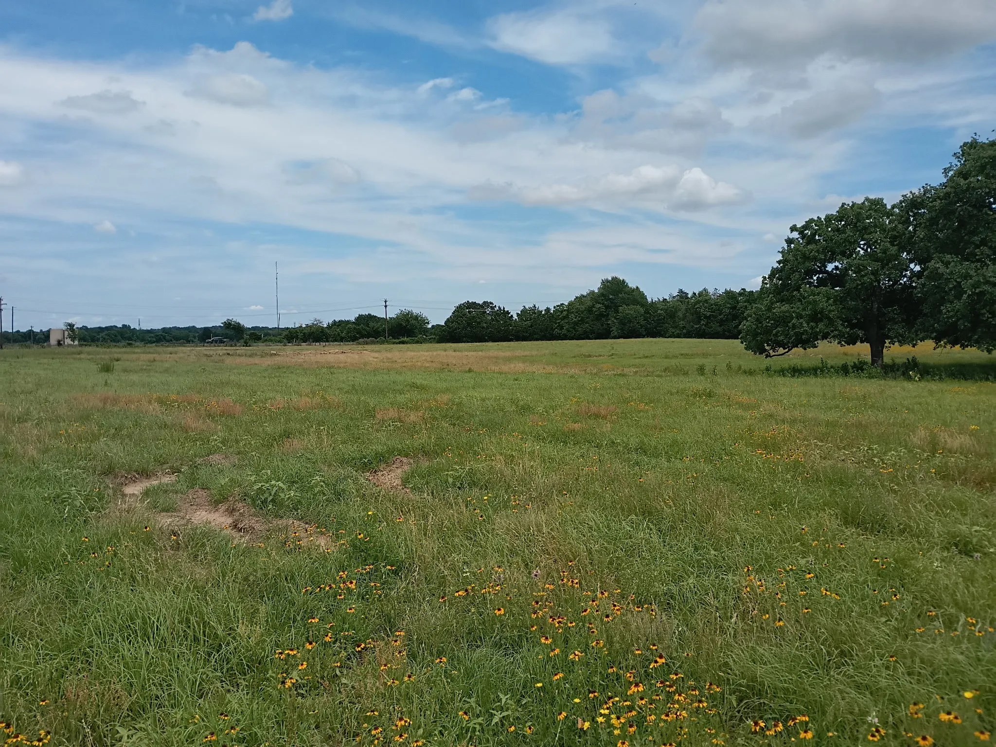 Unimproved Land For Sale in Limestone County , 35 AC FM 1512, Donie, Texas 75838, 0, 0, Garage spaces, 0 Sqft, built in 0, Price $359,000, mls#21261176, Real Estate Agent in Donie, Homes For Sale in Limestone county, Homes For Sale in Donie, Realtor in Donie Texas, Real Estate Brokerage Independent Realty Texas, Luminita Cordes Realtor