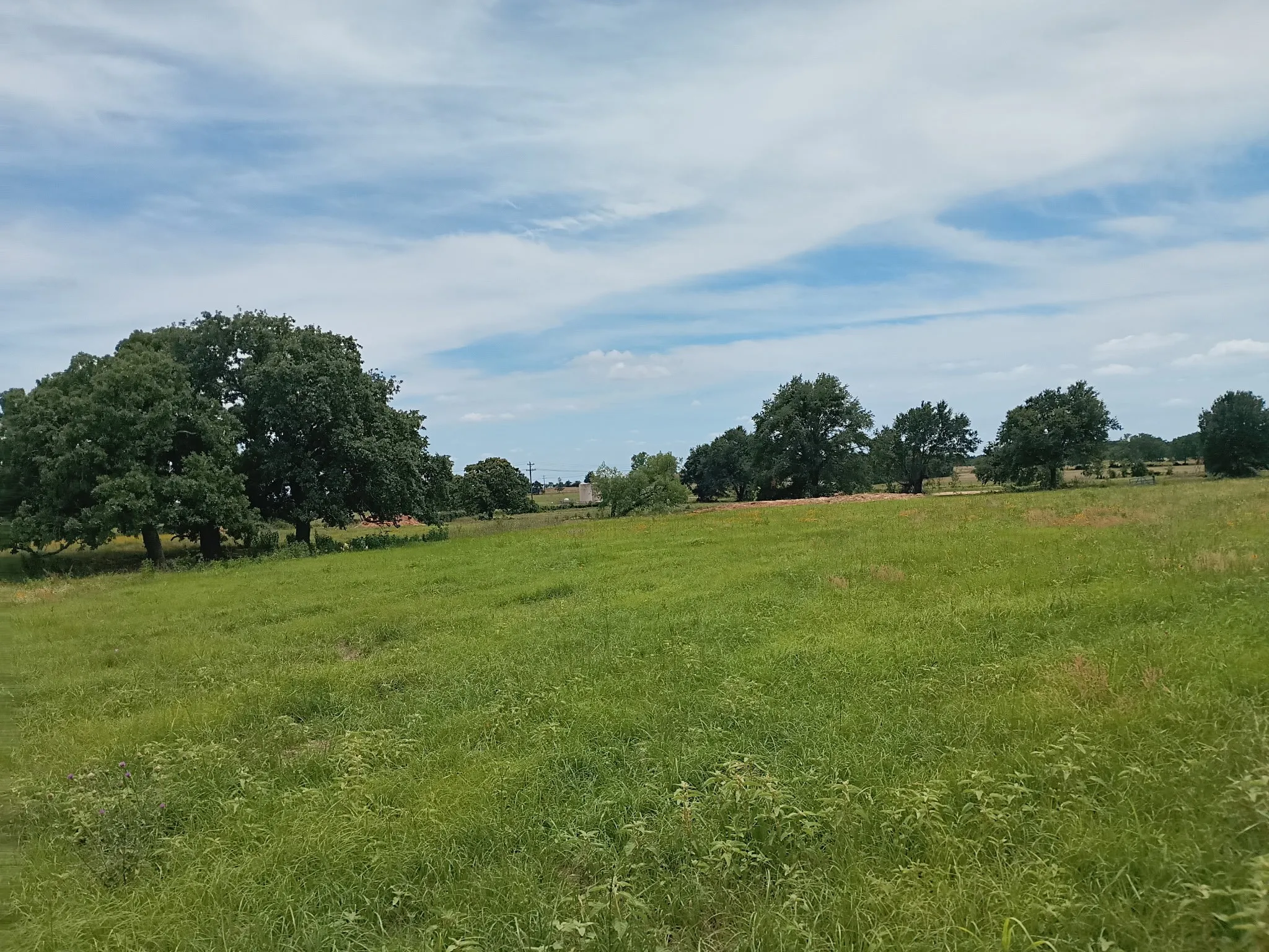 Unimproved Land For Sale in Limestone County , 35 AC FM 1512, Donie, Texas 75838, 0, 0, Garage spaces, 0 Sqft, built in 0, Price $359,000, mls#21261176, Real Estate Agent in Donie, Homes For Sale in Limestone county, Homes For Sale in Donie, Realtor in Donie Texas, Real Estate Brokerage Independent Realty Texas, Luminita Cordes Realtor