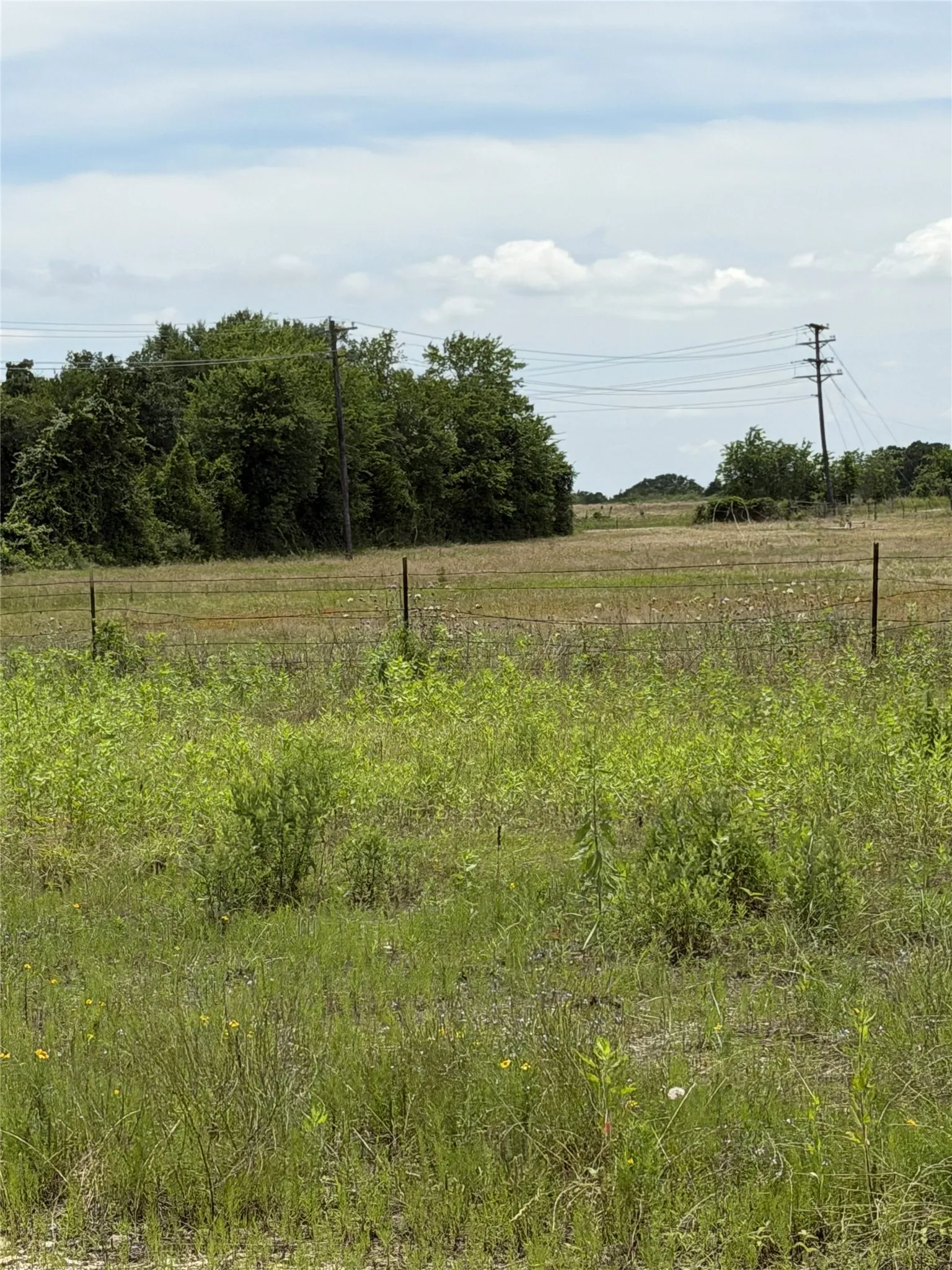 Unimproved Land For Sale in Limestone County , 35 AC FM 1512, Donie, Texas 75838, 0, 0, Garage spaces, 0 Sqft, built in 0, Price $359,000, mls#21261176, Real Estate Agent in Donie, Homes For Sale in Limestone county, Homes For Sale in Donie, Realtor in Donie Texas, Real Estate Brokerage Independent Realty Texas, Luminita Cordes Realtor