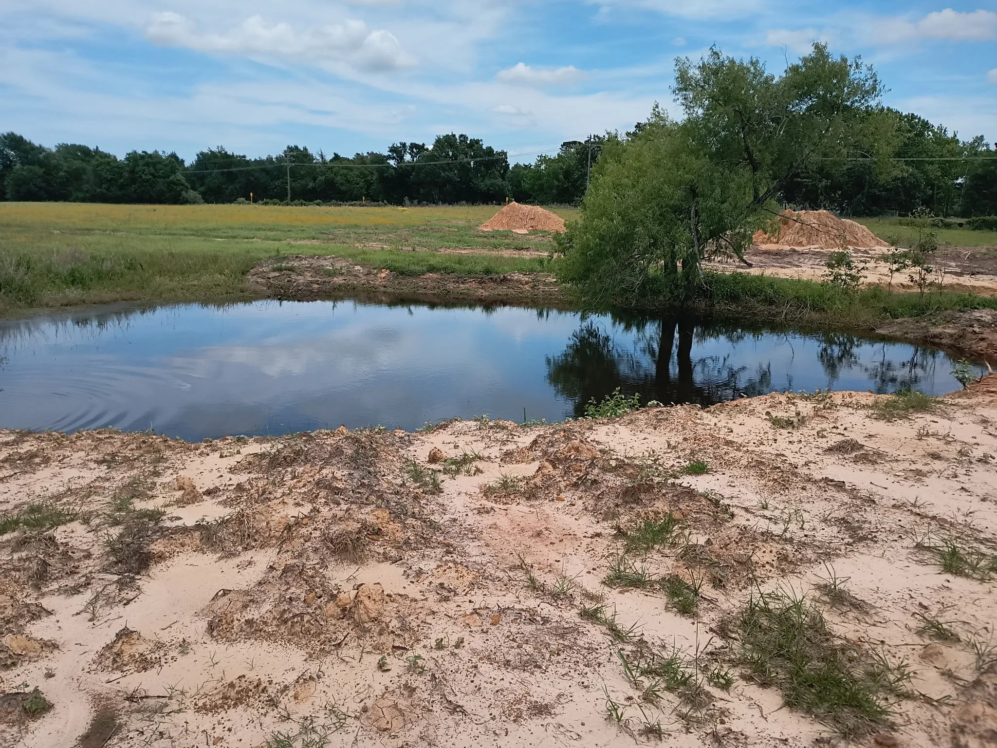 Unimproved Land For Sale in Limestone County , 35 AC FM 1512, Donie, Texas 75838, 0, 0, Garage spaces, 0 Sqft, built in 0, Price $359,000, mls#21261176, Real Estate Agent in Donie, Homes For Sale in Limestone county, Homes For Sale in Donie, Realtor in Donie Texas, Real Estate Brokerage Independent Realty Texas, Luminita Cordes Realtor