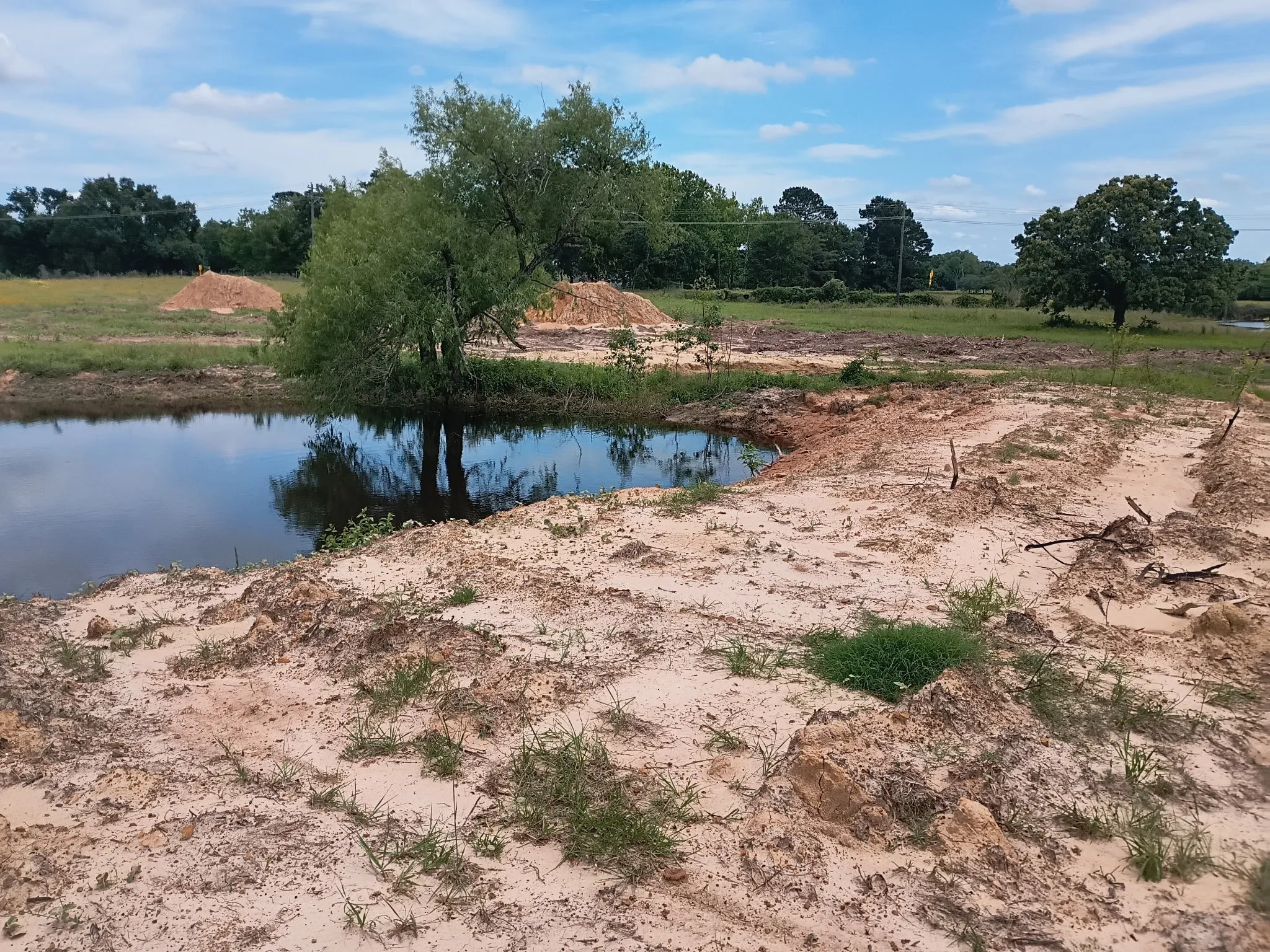Unimproved Land For Sale in Limestone County , 35 AC FM 1512, Donie, Texas 75838, 0, 0, Garage spaces, 0 Sqft, built in 0, Price $359,000, mls#21261176, Real Estate Agent in Donie, Homes For Sale in Limestone county, Homes For Sale in Donie, Realtor in Donie Texas, Real Estate Brokerage Independent Realty Texas, Luminita Cordes Realtor