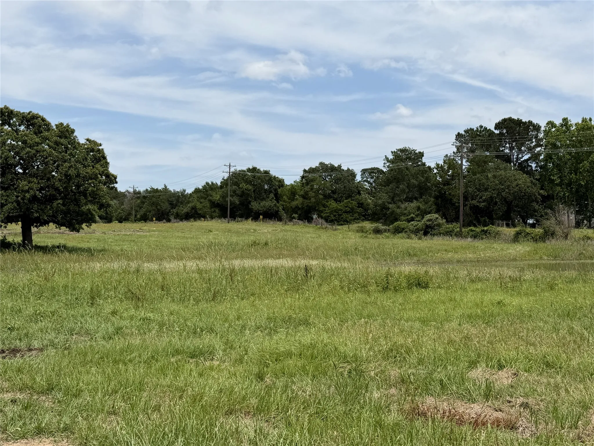 Unimproved Land For Sale in Limestone County , 35 AC FM 1512, Donie, Texas 75838, 0, 0, Garage spaces, 0 Sqft, built in 0, Price $359,000, mls#21261176, Real Estate Agent in Donie, Homes For Sale in Limestone county, Homes For Sale in Donie, Realtor in Donie Texas, Real Estate Brokerage Independent Realty Texas, Luminita Cordes Realtor