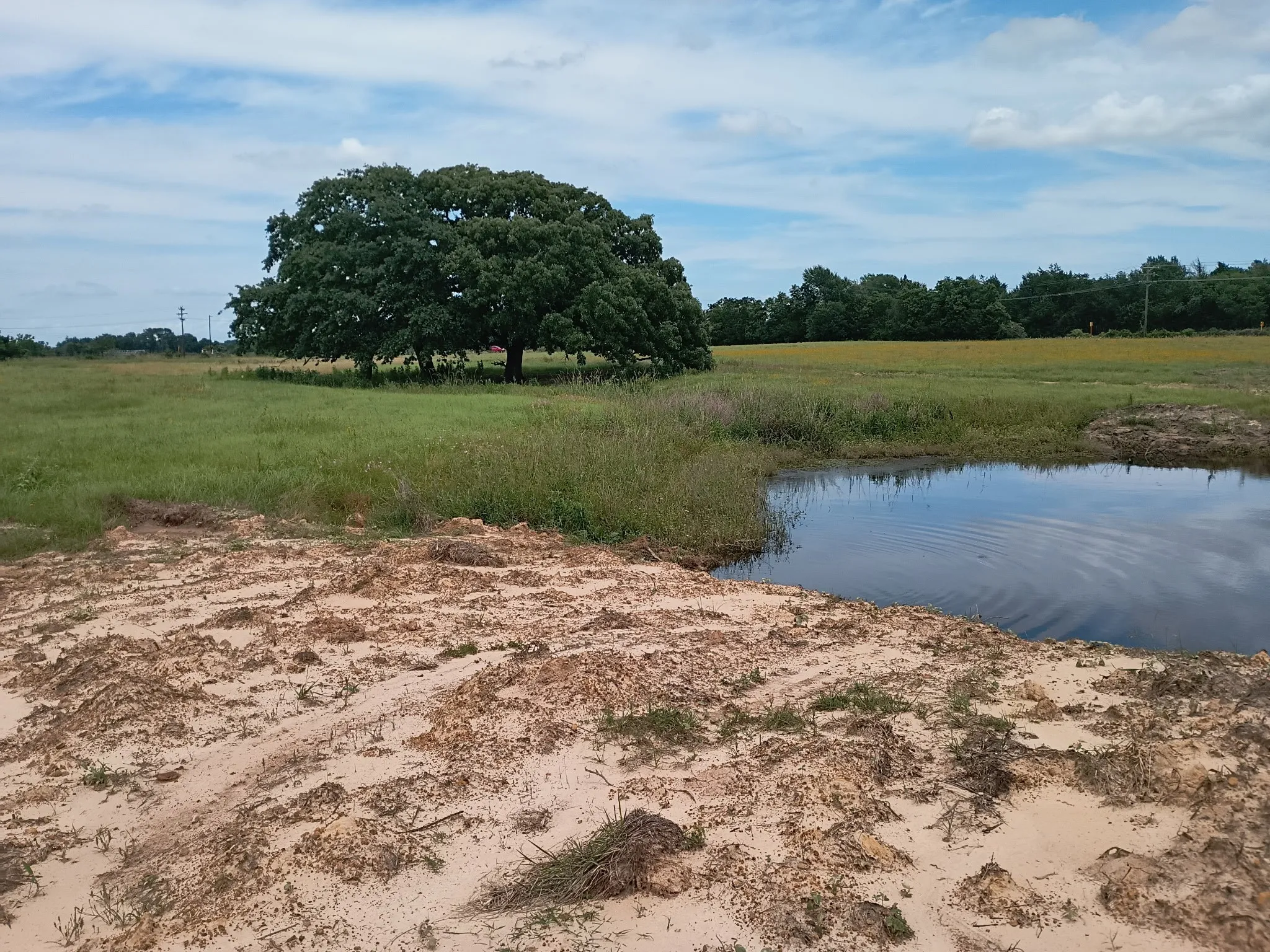 Unimproved Land For Sale in Limestone County , 35 AC FM 1512, Donie, Texas 75838, 0, 0, Garage spaces, 0 Sqft, built in 0, Price $359,000, mls#21261176, Real Estate Agent in Donie, Homes For Sale in Limestone county, Homes For Sale in Donie, Realtor in Donie Texas, Real Estate Brokerage Independent Realty Texas, Luminita Cordes Realtor