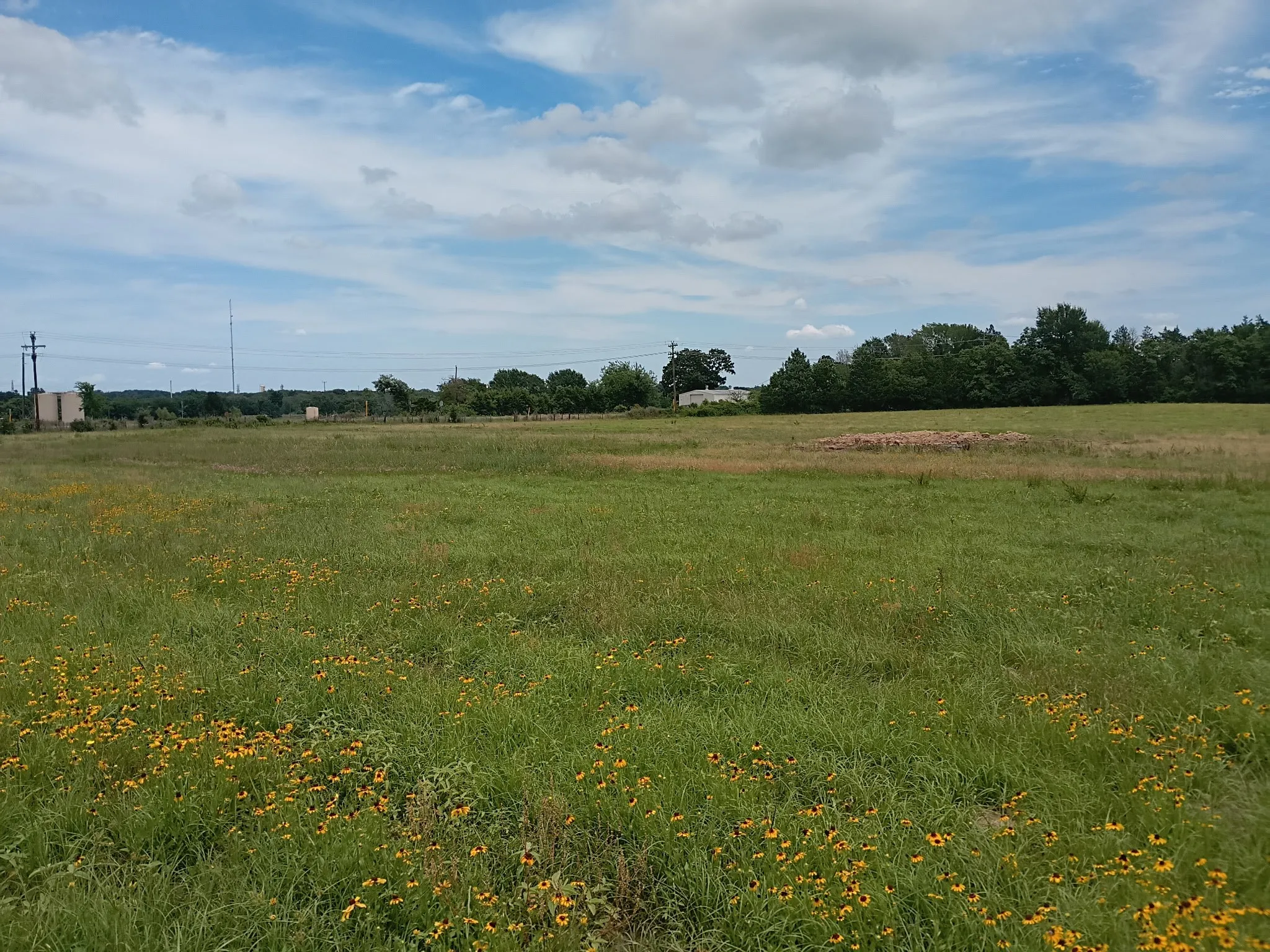 Unimproved Land For Sale in Limestone County , 35 AC FM 1512, Donie, Texas 75838, 0, 0, Garage spaces, 0 Sqft, built in 0, Price $359,000, mls#21261176, Real Estate Agent in Donie, Homes For Sale in Limestone county, Homes For Sale in Donie, Realtor in Donie Texas, Real Estate Brokerage Independent Realty Texas, Luminita Cordes Realtor