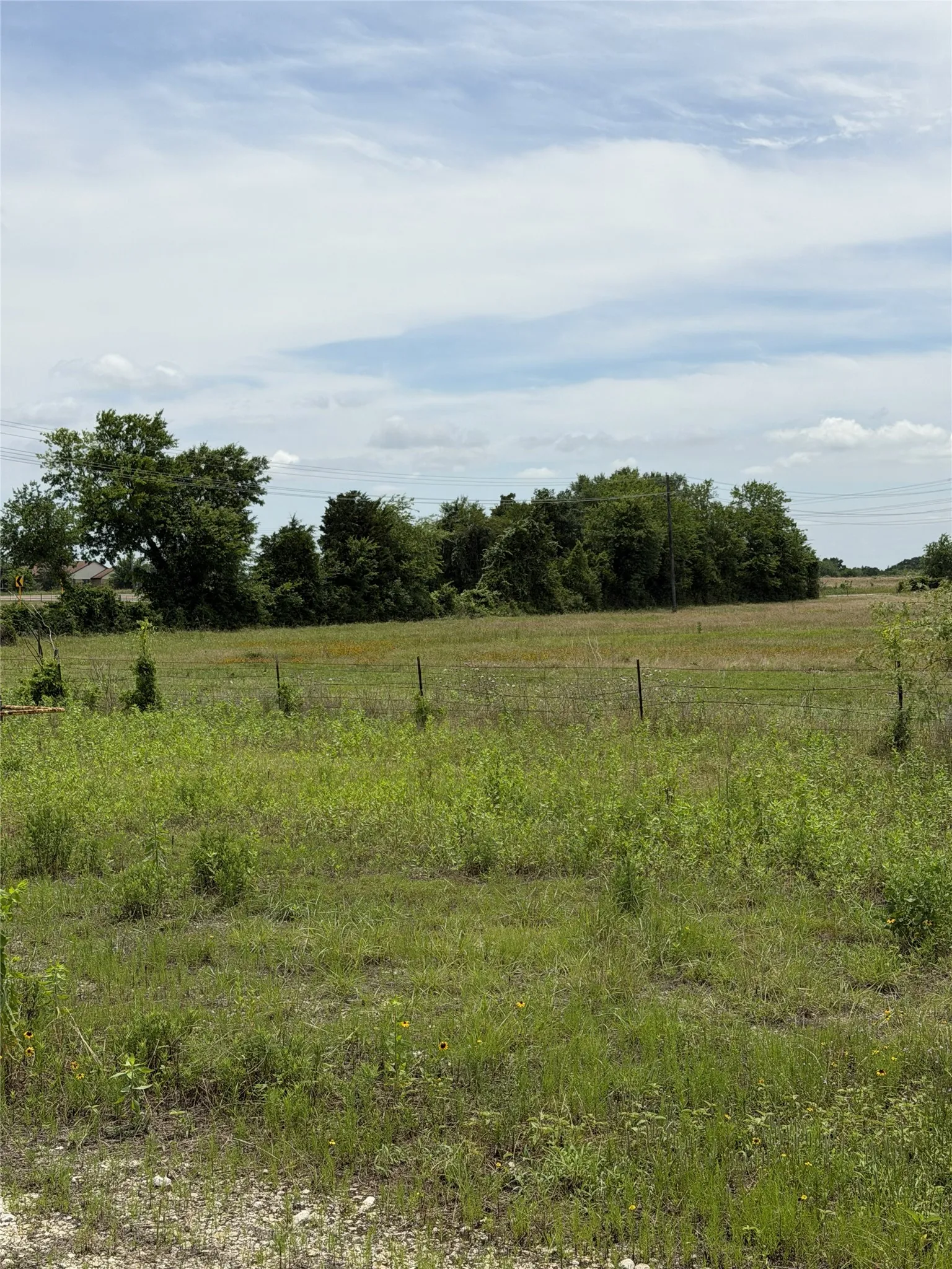 Unimproved Land For Sale in Limestone County , 35 AC FM 1512, Donie, Texas 75838, 0, 0, Garage spaces, 0 Sqft, built in 0, Price $359,000, mls#21261176, Real Estate Agent in Donie, Homes For Sale in Limestone county, Homes For Sale in Donie, Realtor in Donie Texas, Real Estate Brokerage Independent Realty Texas, Luminita Cordes Realtor