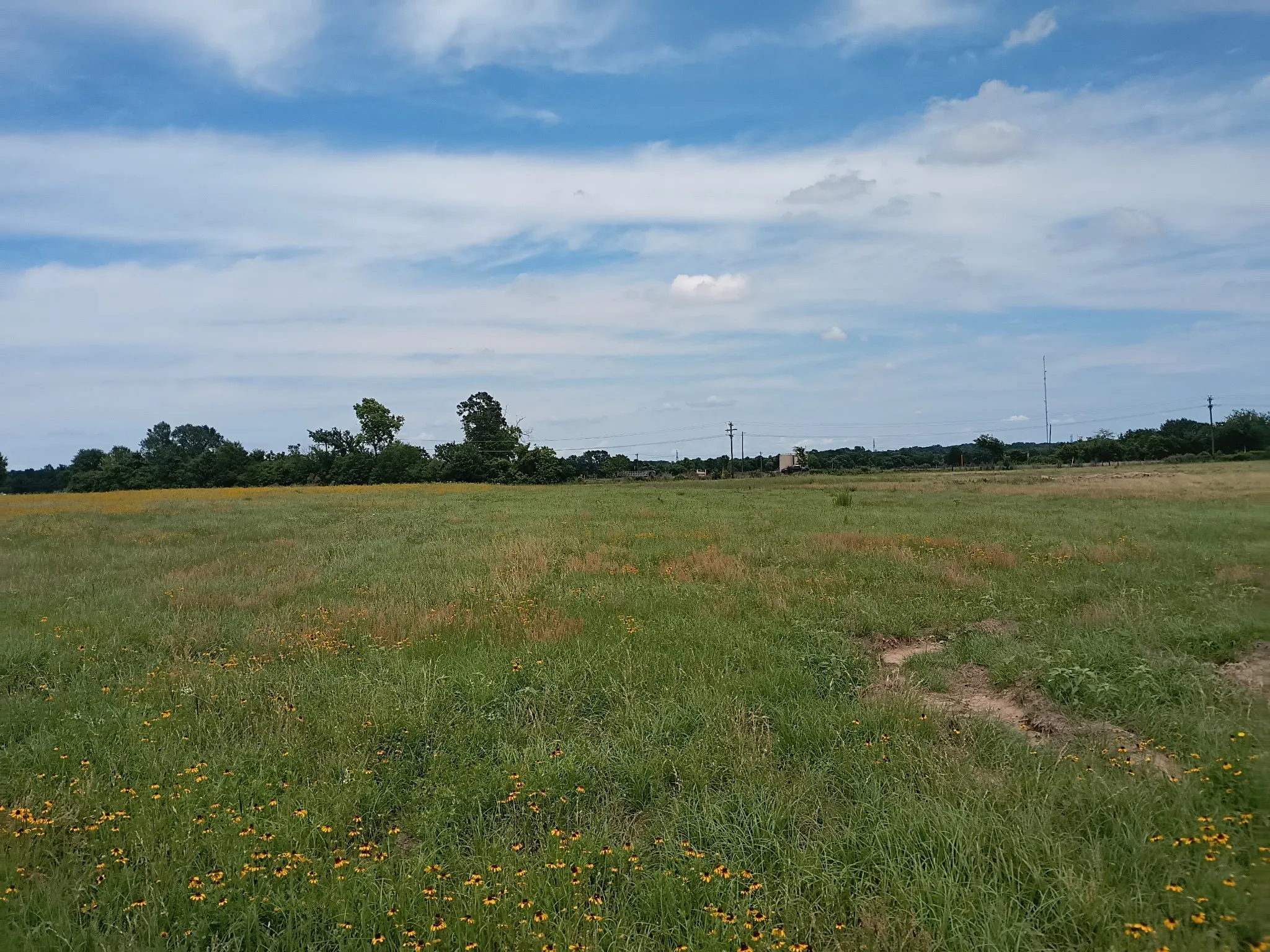 Unimproved Land For Sale in Limestone County , 35 AC FM 1512, Donie, Texas 75838, 0, 0, Garage spaces, 0 Sqft, built in 0, Price $359,000, mls#21261176, Real Estate Agent in Donie, Homes For Sale in Limestone county, Homes For Sale in Donie, Realtor in Donie Texas, Real Estate Brokerage Independent Realty Texas, Luminita Cordes Realtor