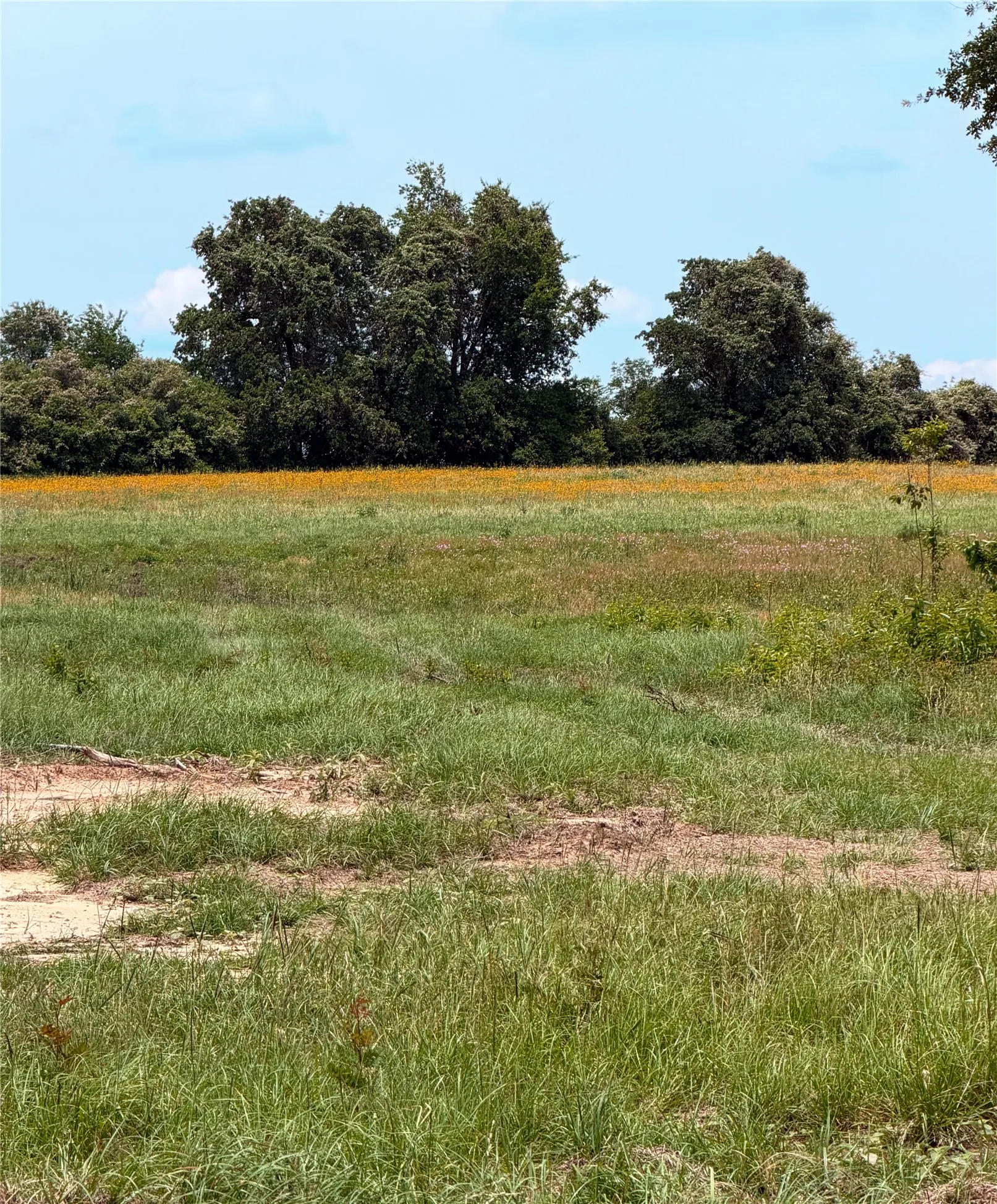 Unimproved Land For Sale in Limestone County , 35 AC FM 1512, Donie, Texas 75838, 0, 0, Garage spaces, 0 Sqft, built in 0, Price $359,000, mls#21261176, Real Estate Agent in Donie, Homes For Sale in Limestone county, Homes For Sale in Donie, Realtor in Donie Texas, Real Estate Brokerage Independent Realty Texas, Luminita Cordes Realtor
