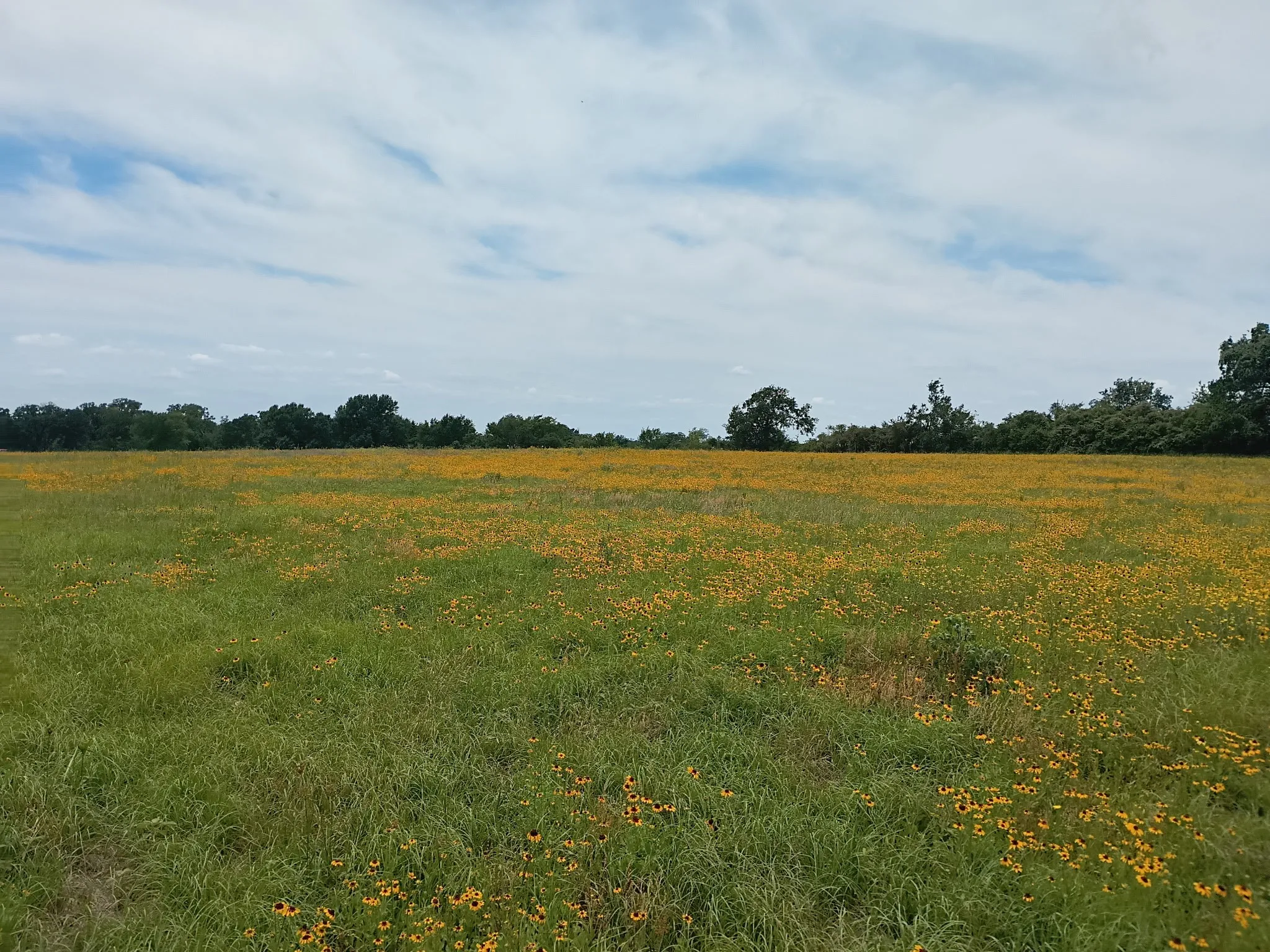 Unimproved Land For Sale in Limestone County , 35 AC FM 1512, Donie, Texas 75838, 0, 0, Garage spaces, 0 Sqft, built in 0, Price $359,000, mls#21261176, Real Estate Agent in Donie, Homes For Sale in Limestone county, Homes For Sale in Donie, Realtor in Donie Texas, Real Estate Brokerage Independent Realty Texas, Luminita Cordes Realtor