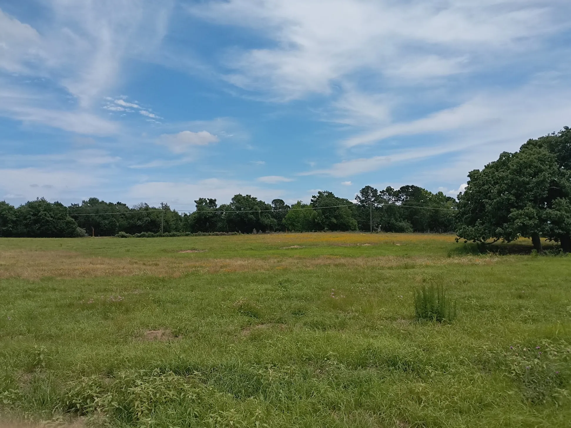 Unimproved Land For Sale in Limestone County , 35 AC FM 1512, Donie, Texas 75838, 0, 0, Garage spaces, 0 Sqft, built in 0, Price $359,000, mls#21261176, Real Estate Agent in Donie, Homes For Sale in Limestone county, Homes For Sale in Donie, Realtor in Donie Texas, Real Estate Brokerage Independent Realty Texas, Luminita Cordes Realtor