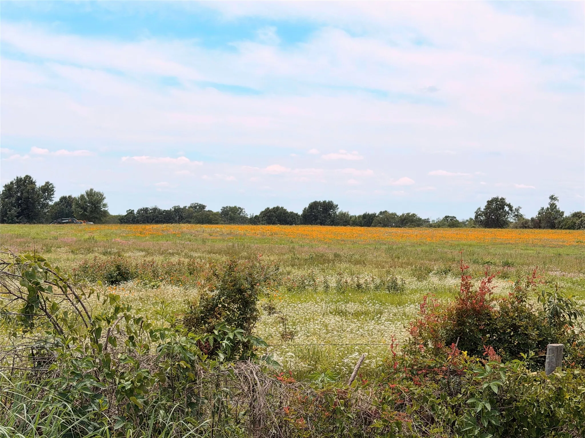 Unimproved Land For Sale in Limestone County , 35 AC FM 1512, Donie, Texas 75838, 0, 0, Garage spaces, 0 Sqft, built in 0, Price $359,000, mls#21261176, Real Estate Agent in Donie, Homes For Sale in Limestone county, Homes For Sale in Donie, Realtor in Donie Texas, Real Estate Brokerage Independent Realty Texas, Luminita Cordes Realtor