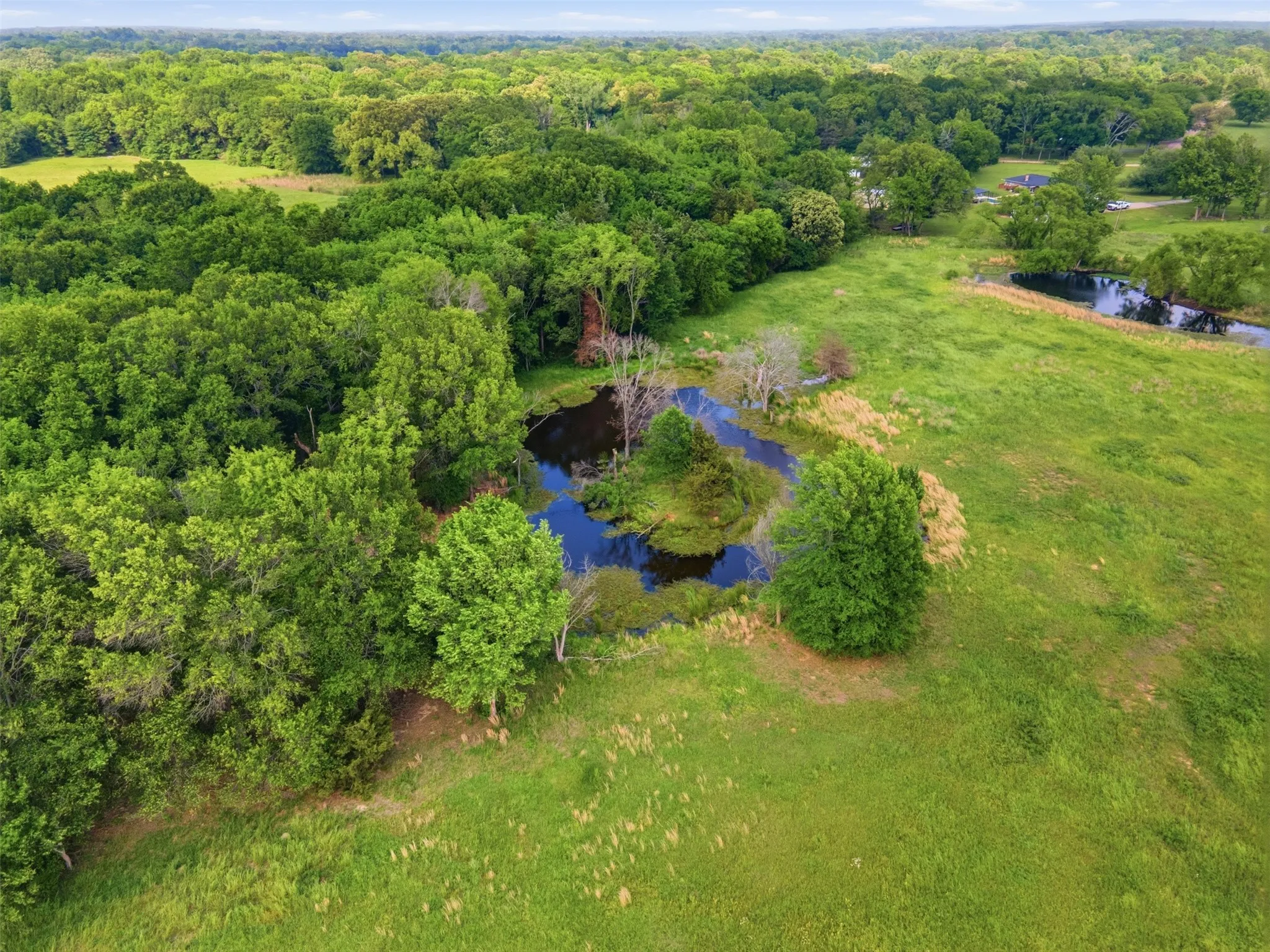 Improved Land For Sale in Titus County , 000 CR 1330, Mt Pleasant, Texas 75455, 0, 0, Garage spaces, 0 Sqft, built in 0, mls#21262801, Real Estate Agent in Mt Pleasant, Homes For Sale in Titus county, Homes For Sale in Mt Pleasant, Realtor in Mt Pleasant Texas, Real Estate Brokerage Independent Realty Texas, Luminita Cordes Realtor